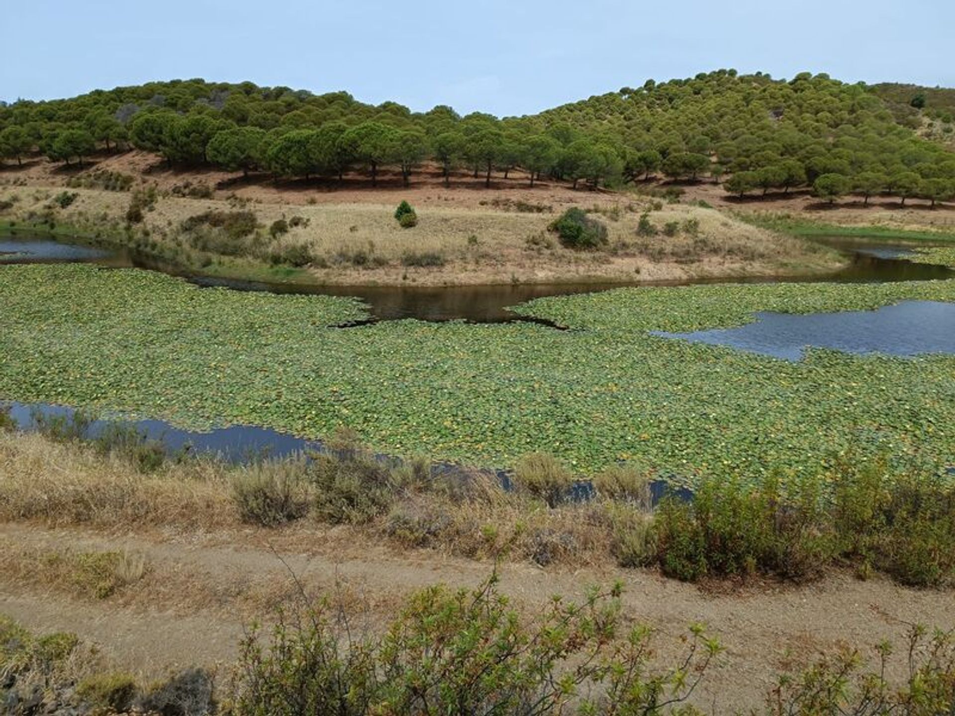 Промышленное в Castro Marim, Faro District 11535159