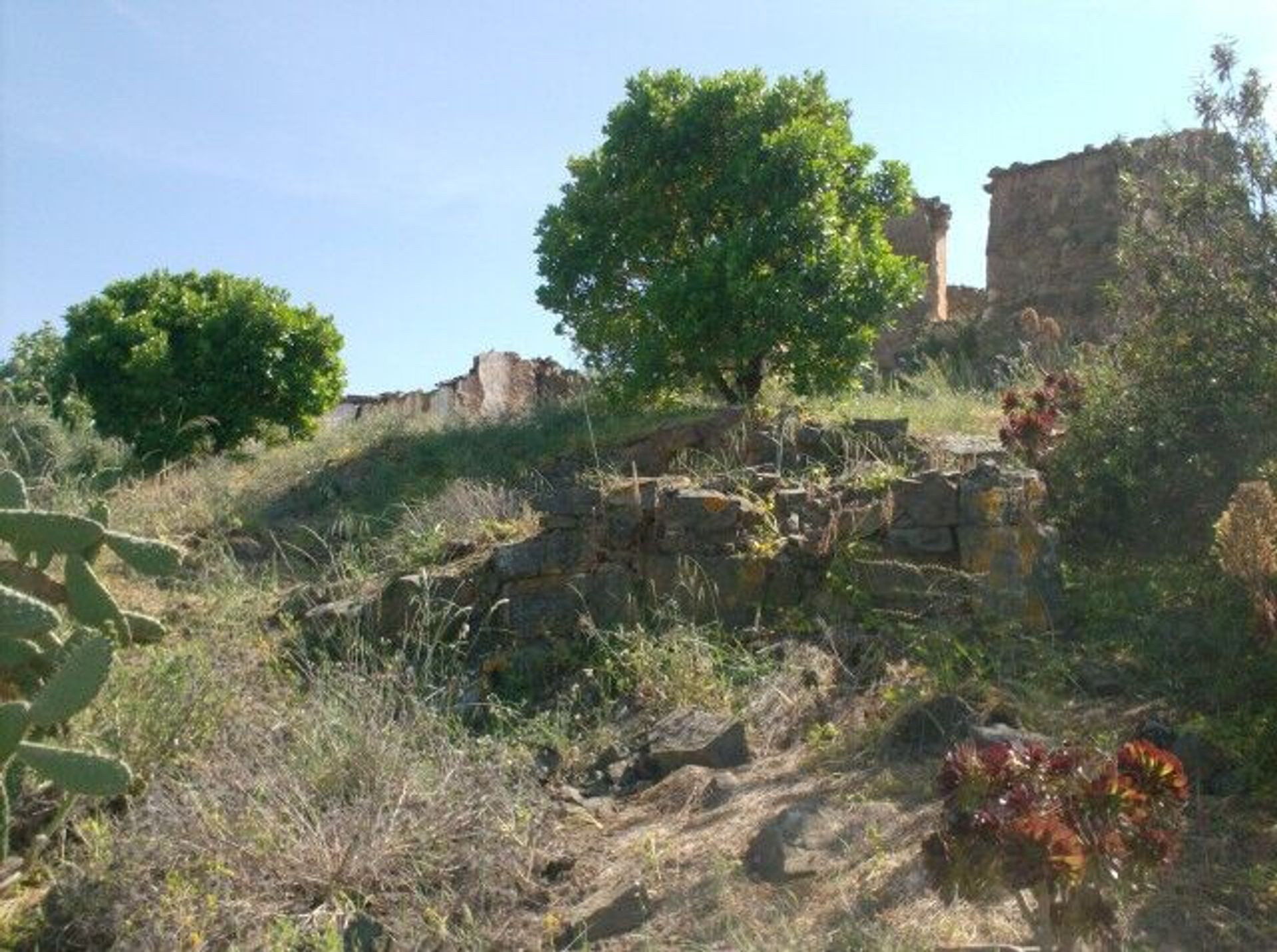 Land in Castro Marim, Faro District 11535170