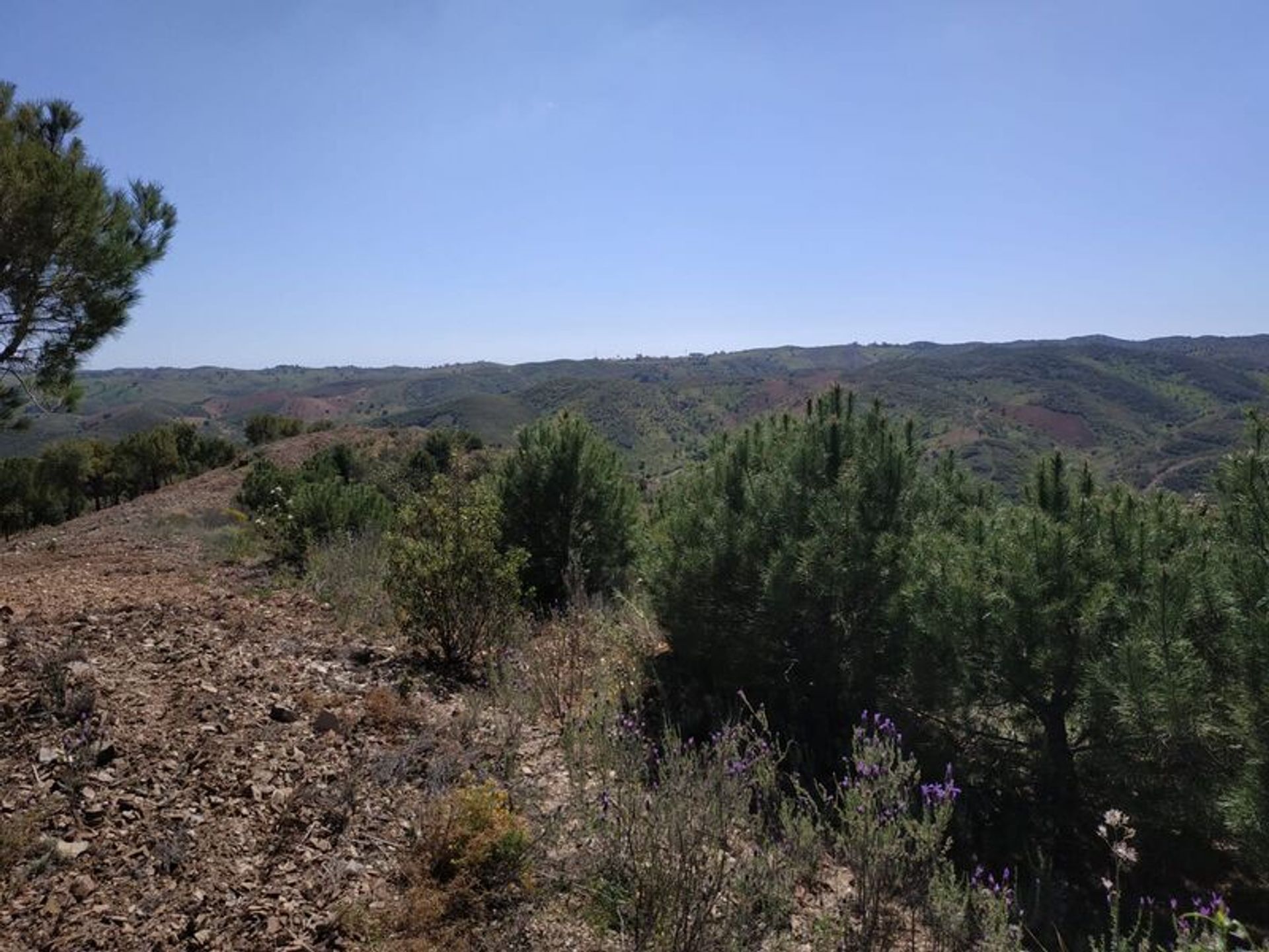 ארץ ב Castro Marim, Faro District 11535171