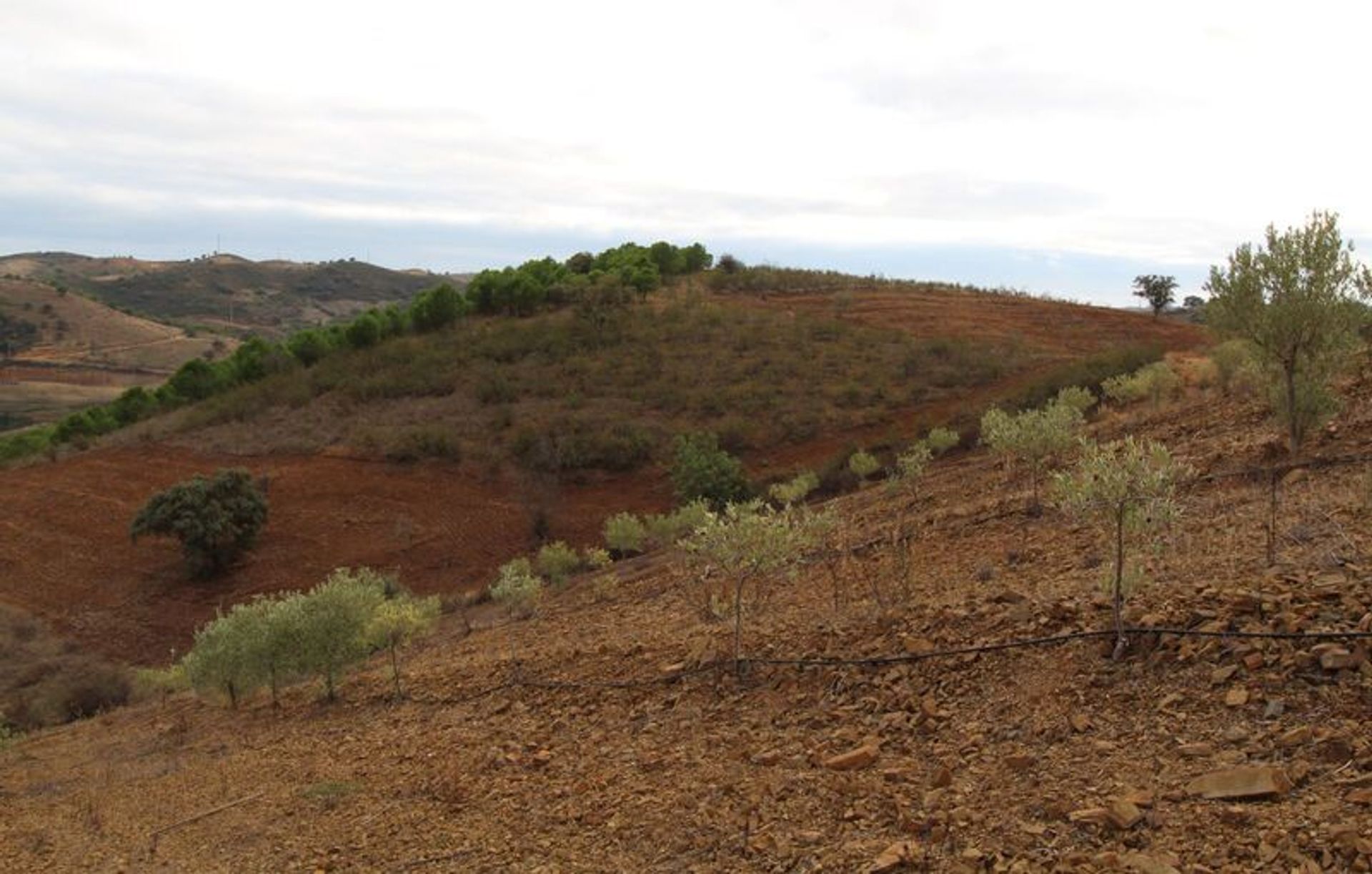 Terra no Castro Marim, Faro District 11535233