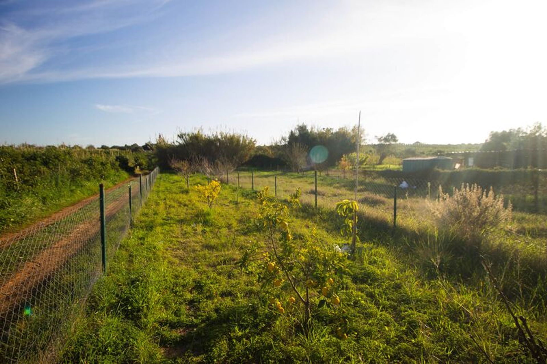 Tanah dalam Vila Real de Santo António, Faro District 11535247