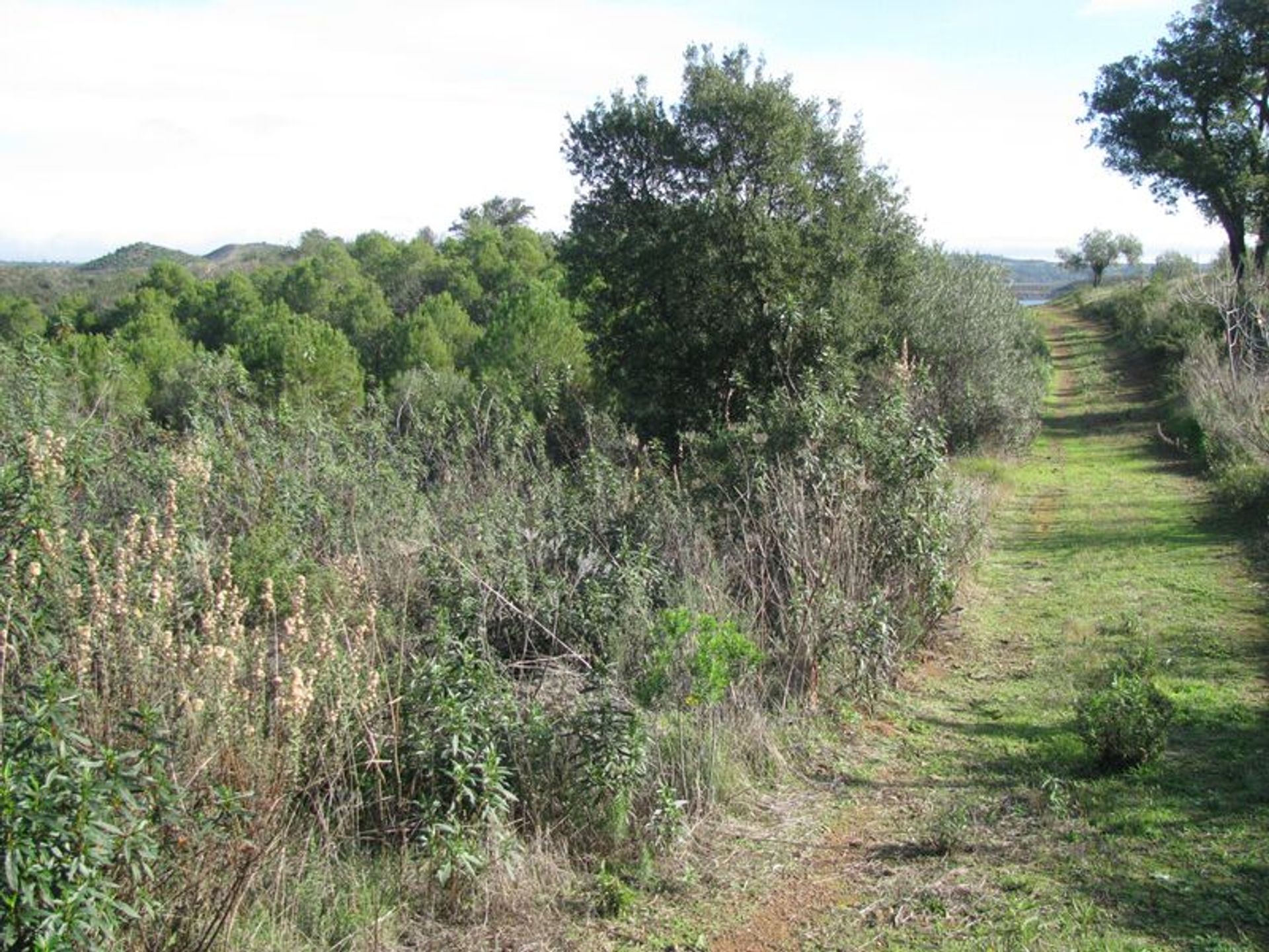 Land in Castro Marim, Faro District 11535255