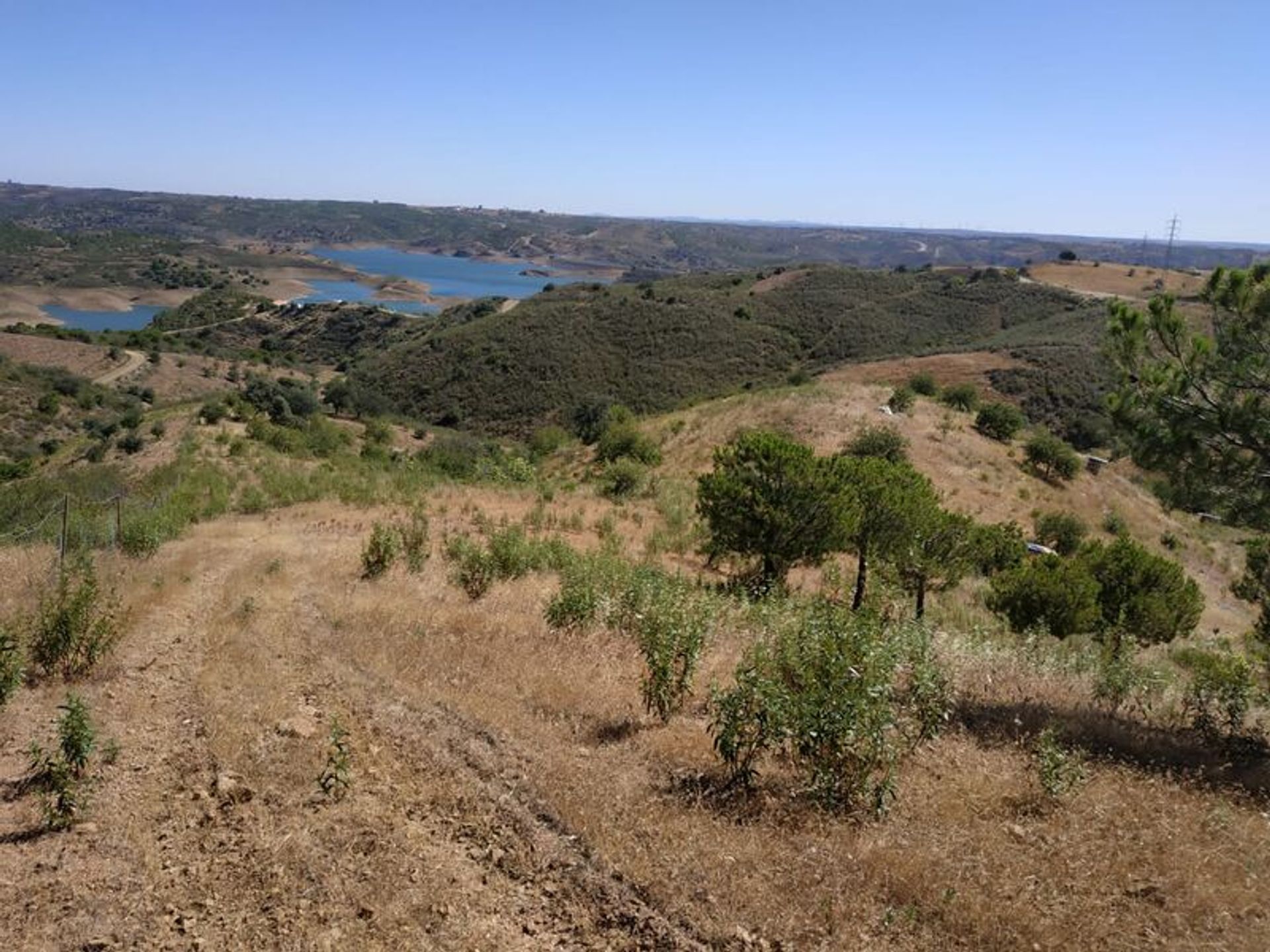 Tierra en Castro Marim, Faraón 11535308