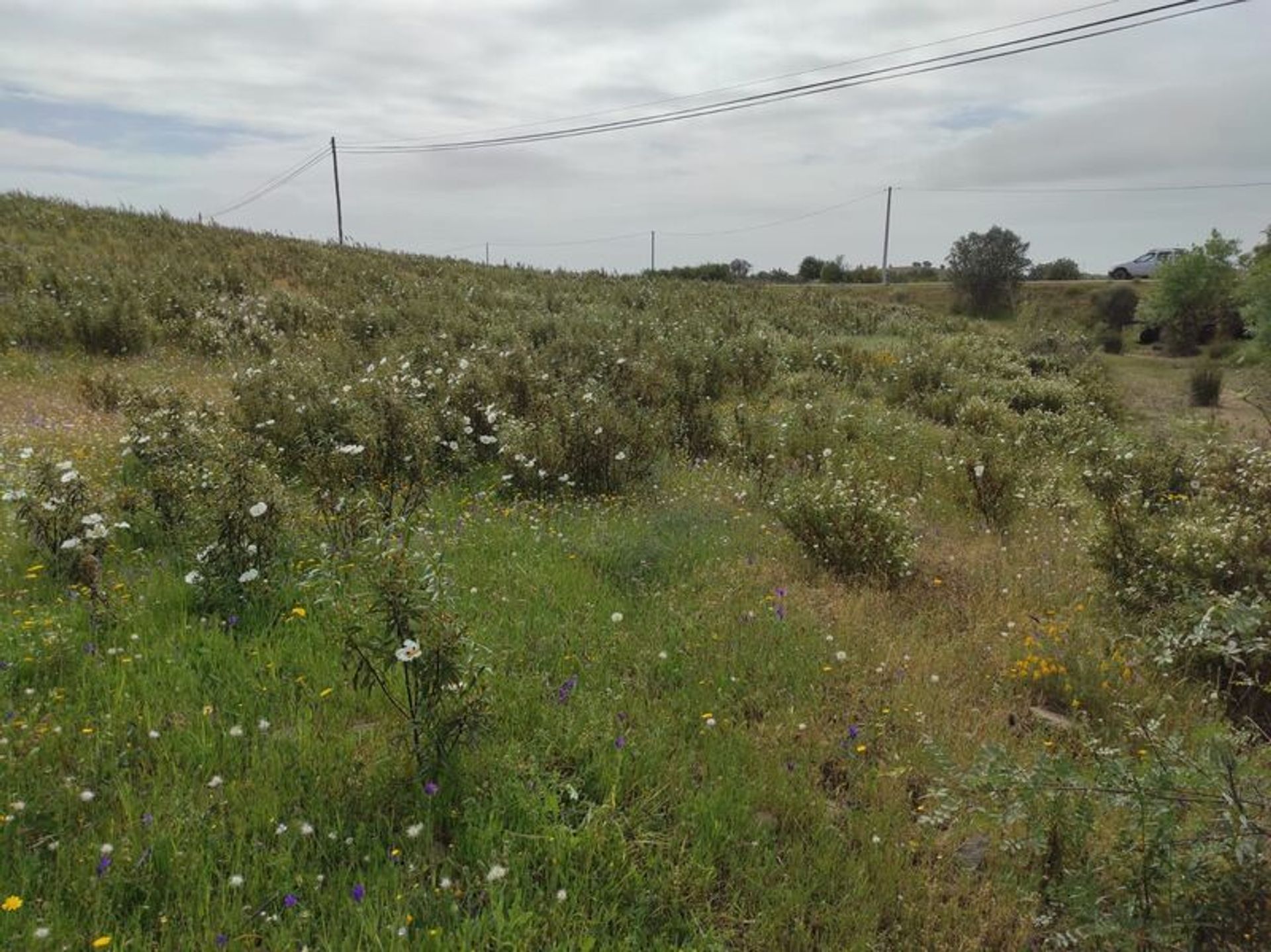 Land in Castro Marim, Faro District 11535531