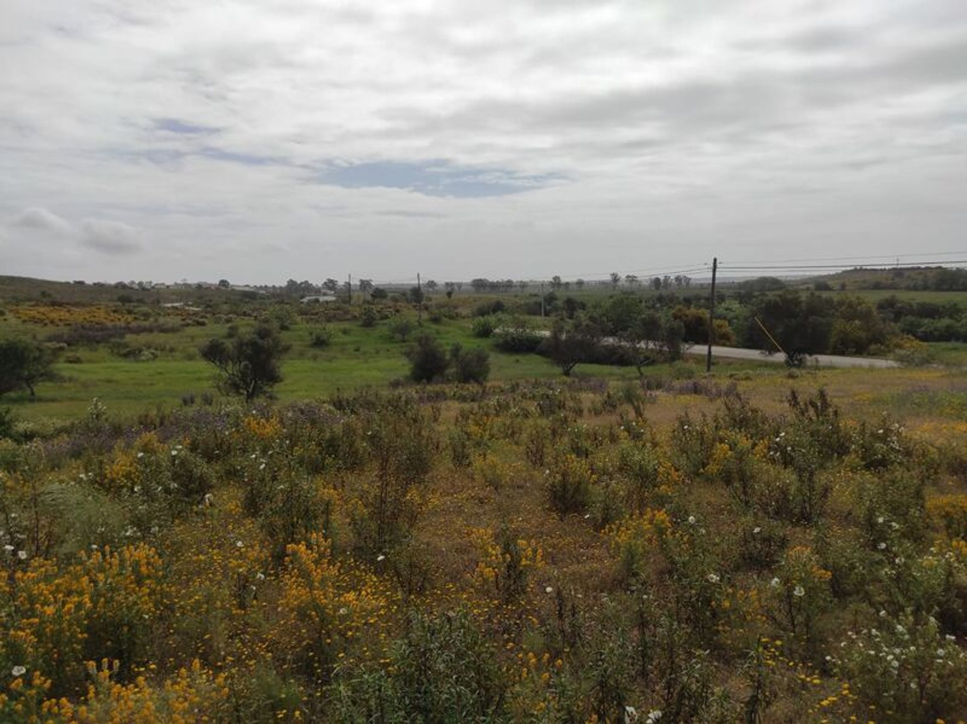 Tierra en Castro Marim, Faraón 11535531