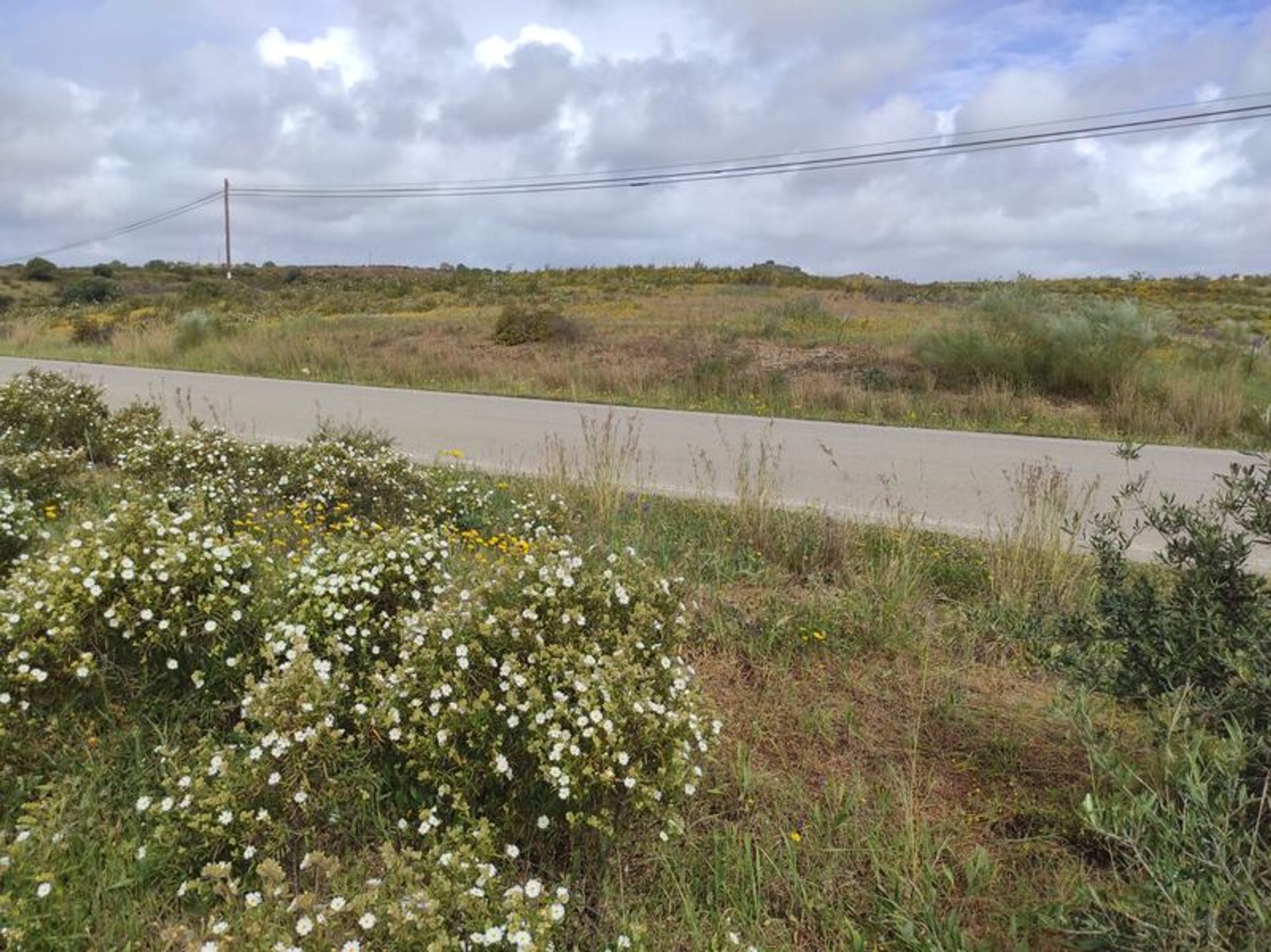 Tierra en Castro Marim, Faraón 11535531