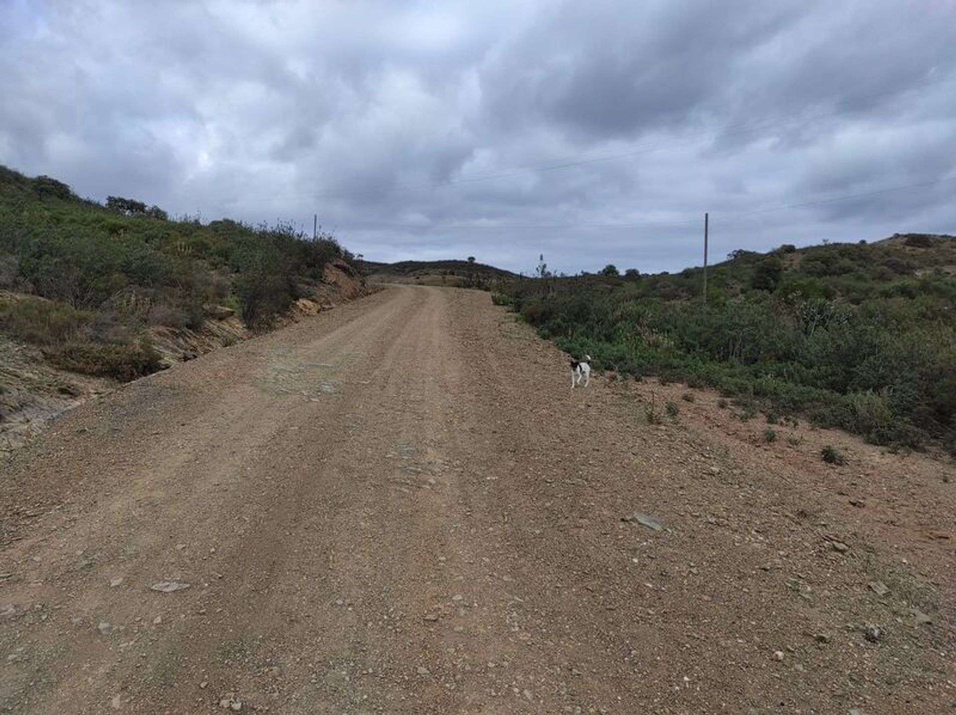 Tierra en Castro Marim, Faraón 11535579