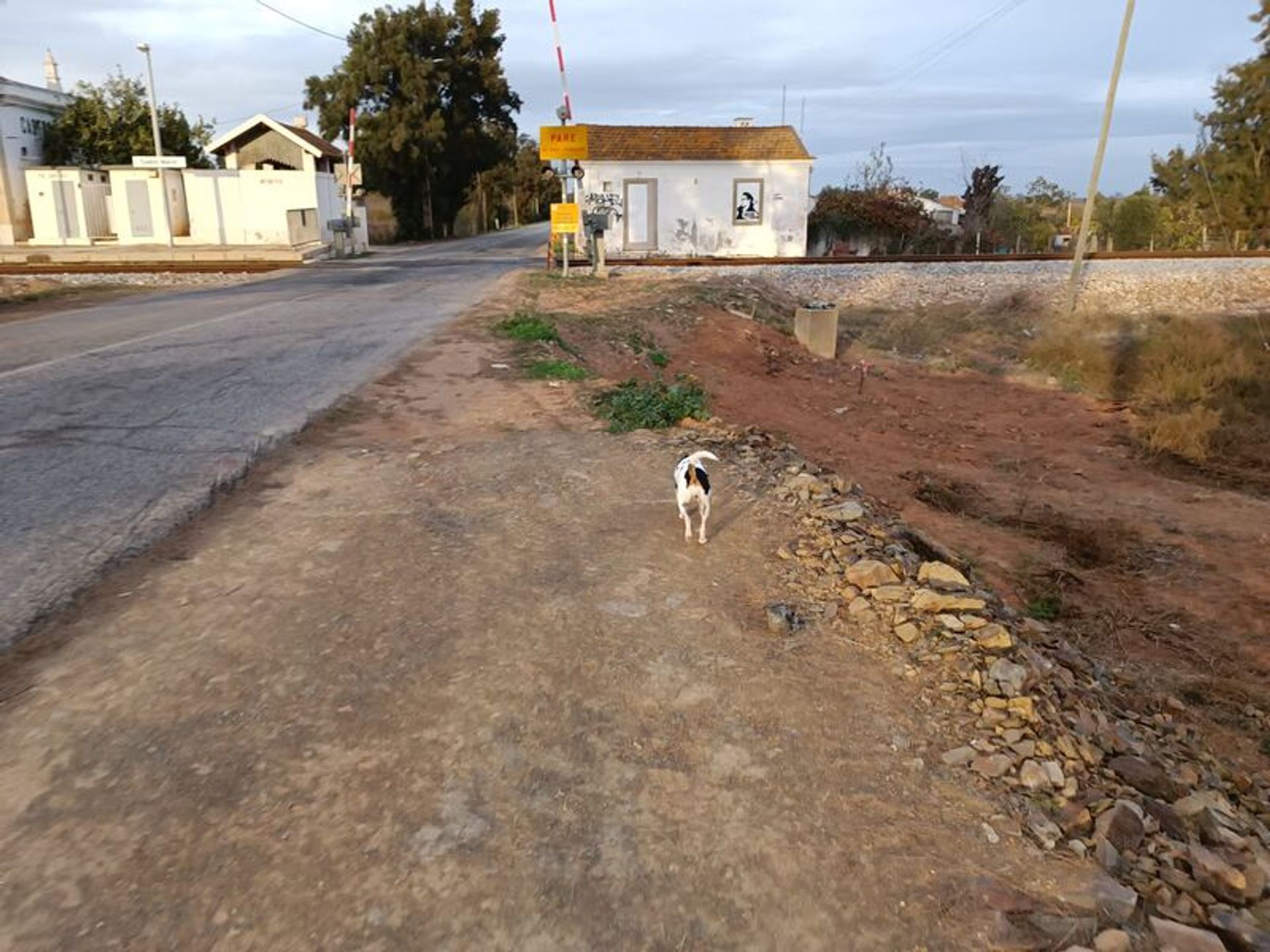 Terra no Castro Marim, Faro 11535840