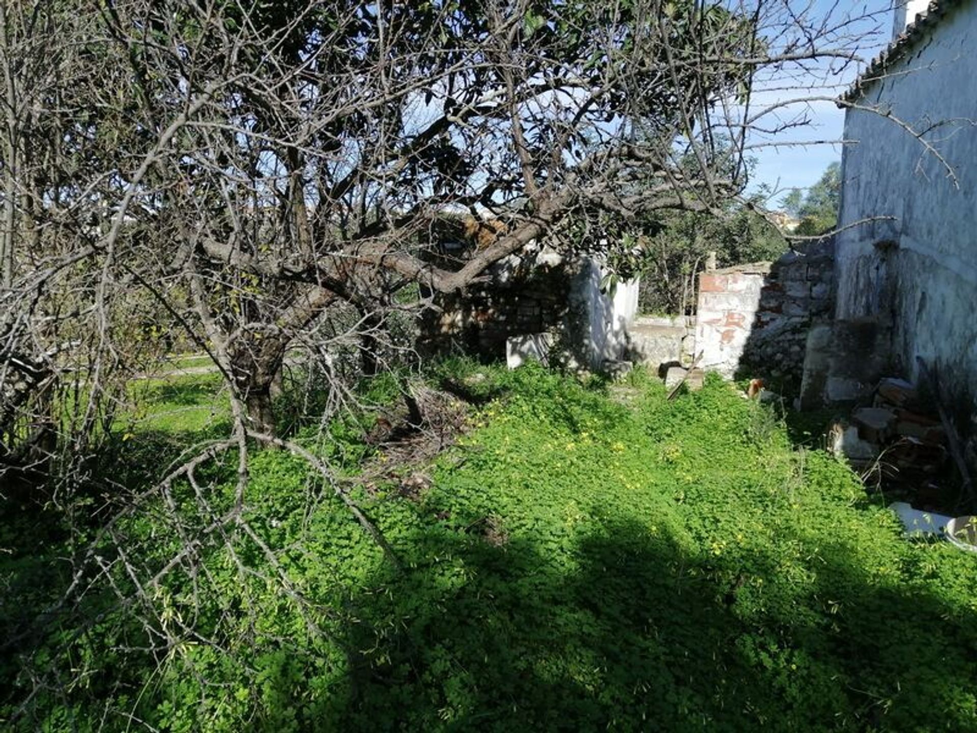 casa no São Brás de Alportel, Faro District 11535943