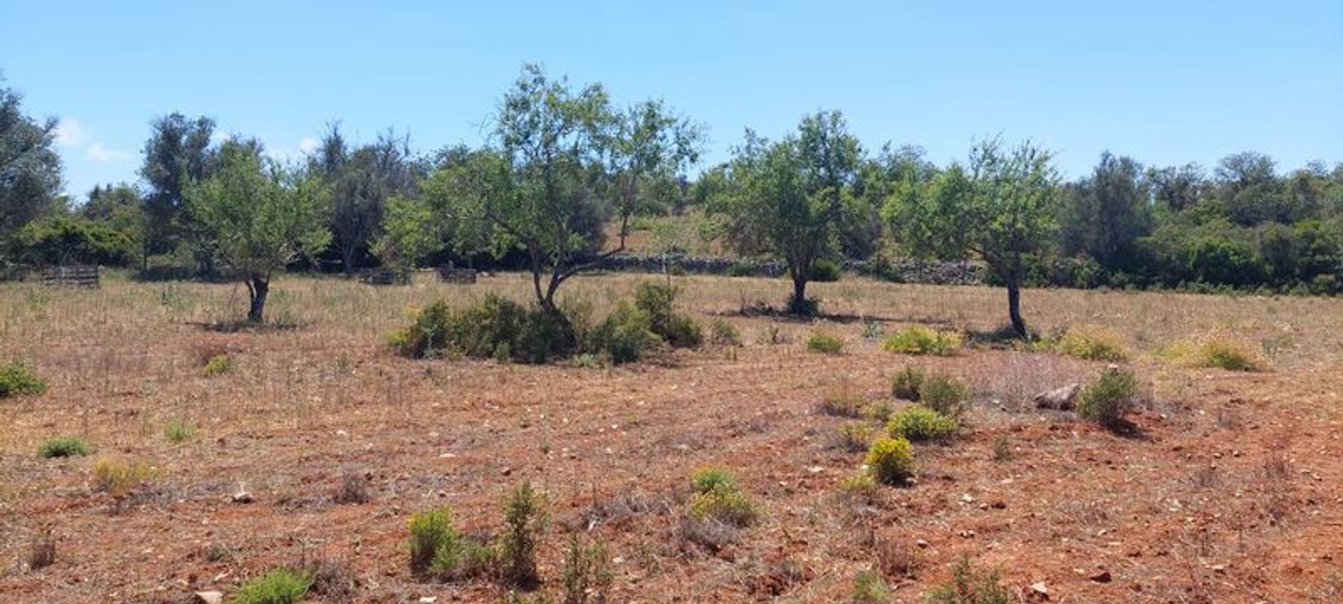 Land im Faro, Faro District 11535964