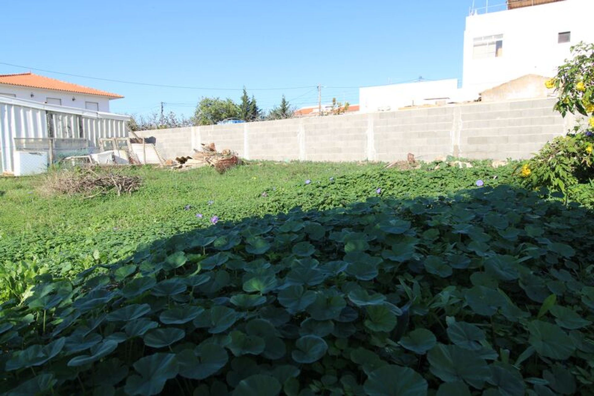 Land in Faro, Faro District 11535975