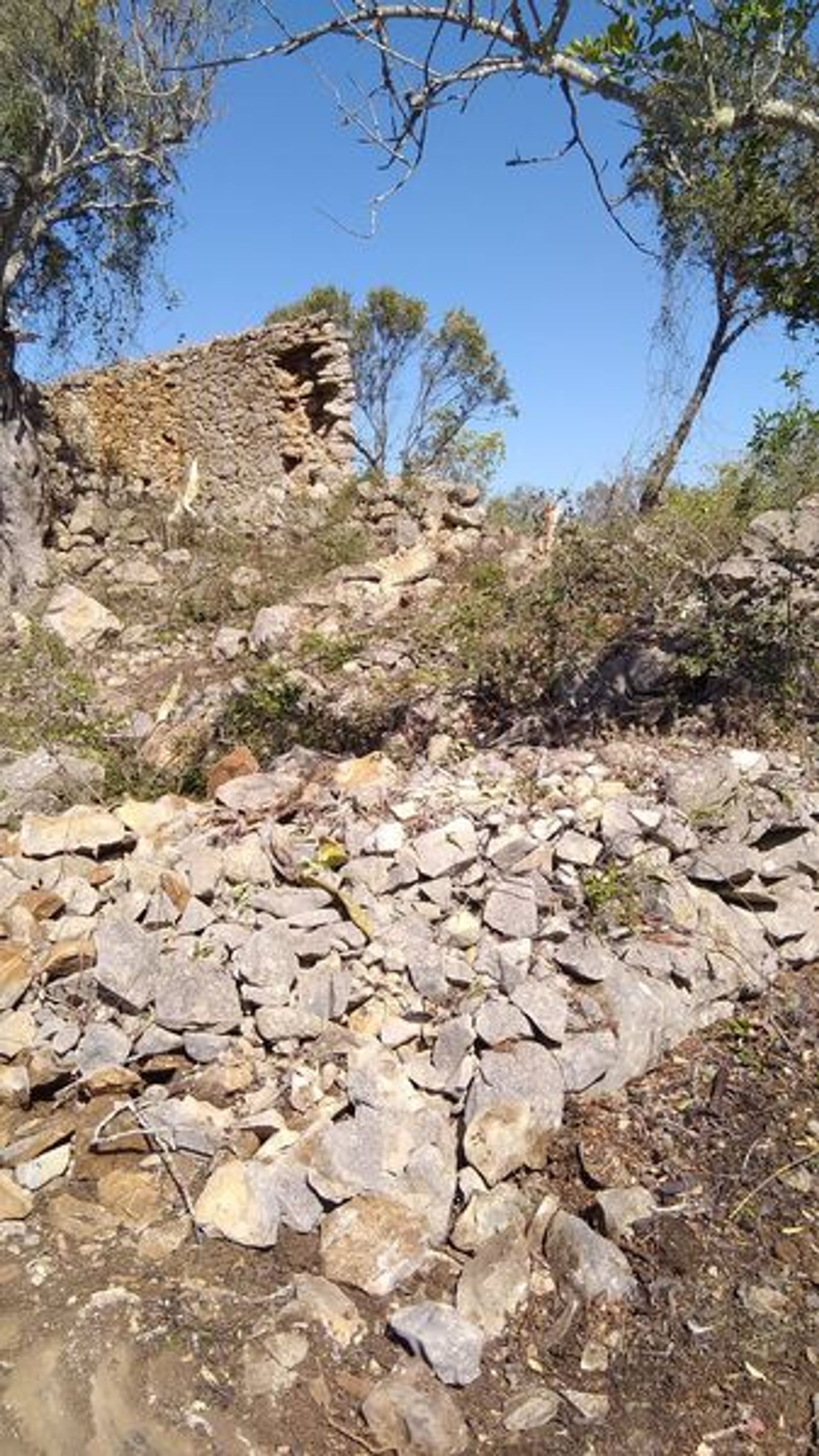 Tanah di Loulé, Faro District 11535976