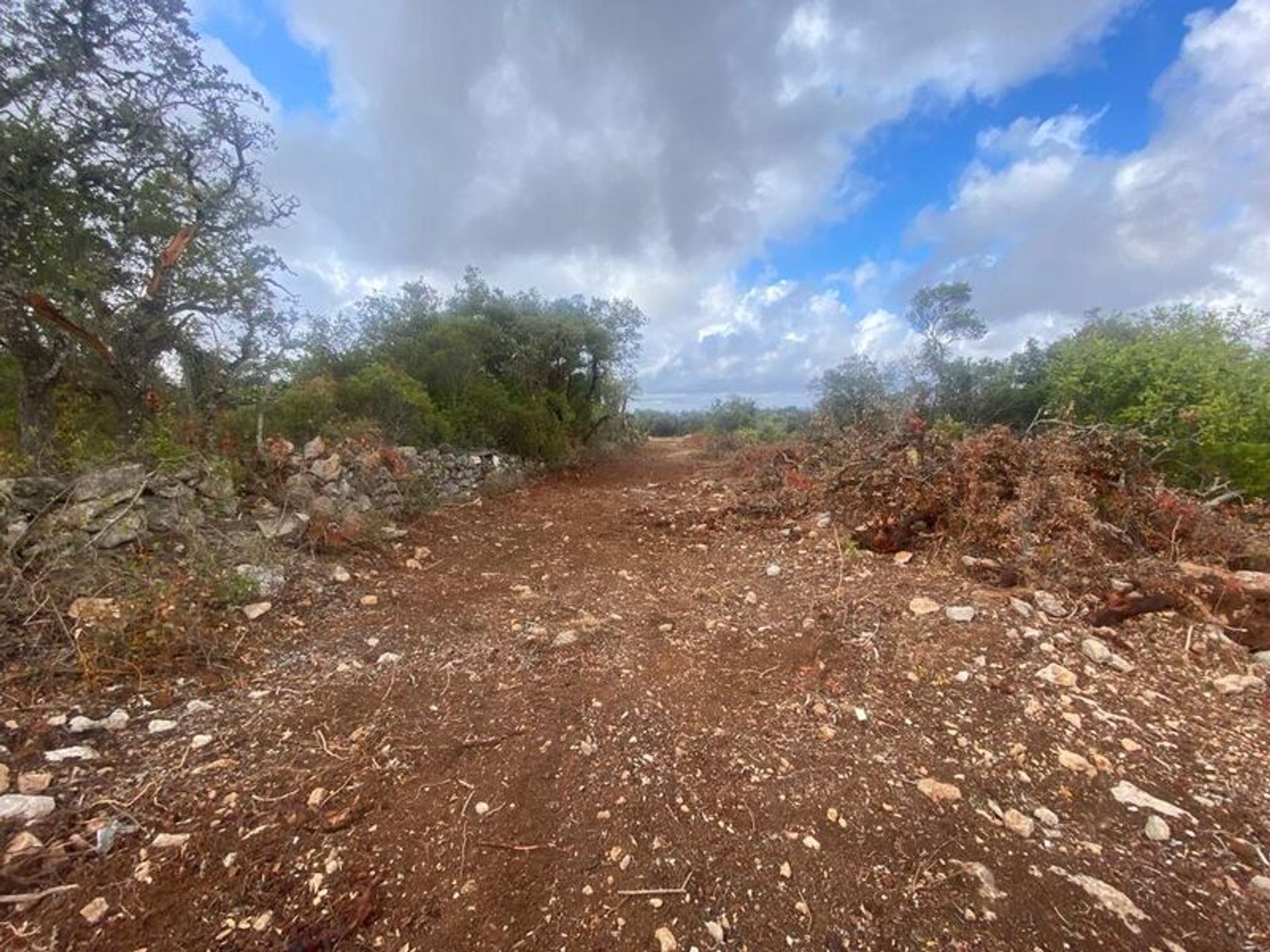 Tanah di Loulé, Faro District 11535976