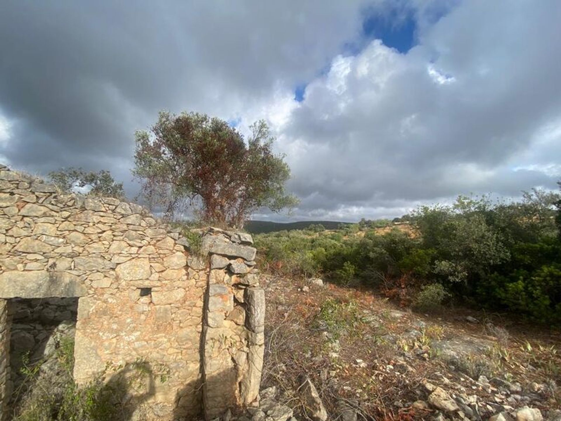 Tanah di Loulé, Faro District 11535976