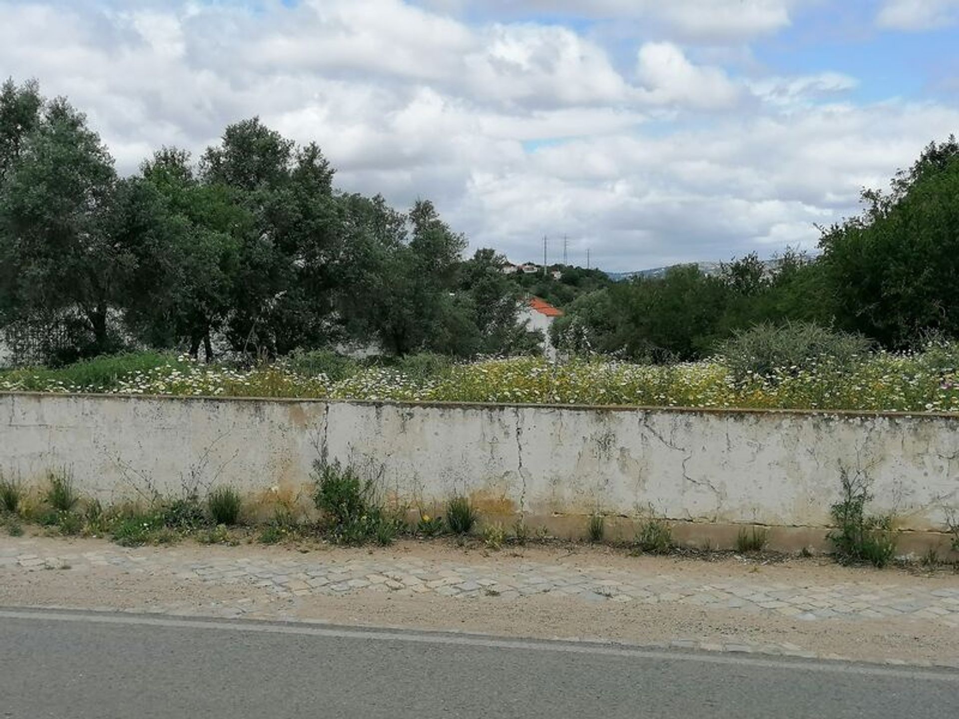 ארץ ב Olhão, Faro District 11536012