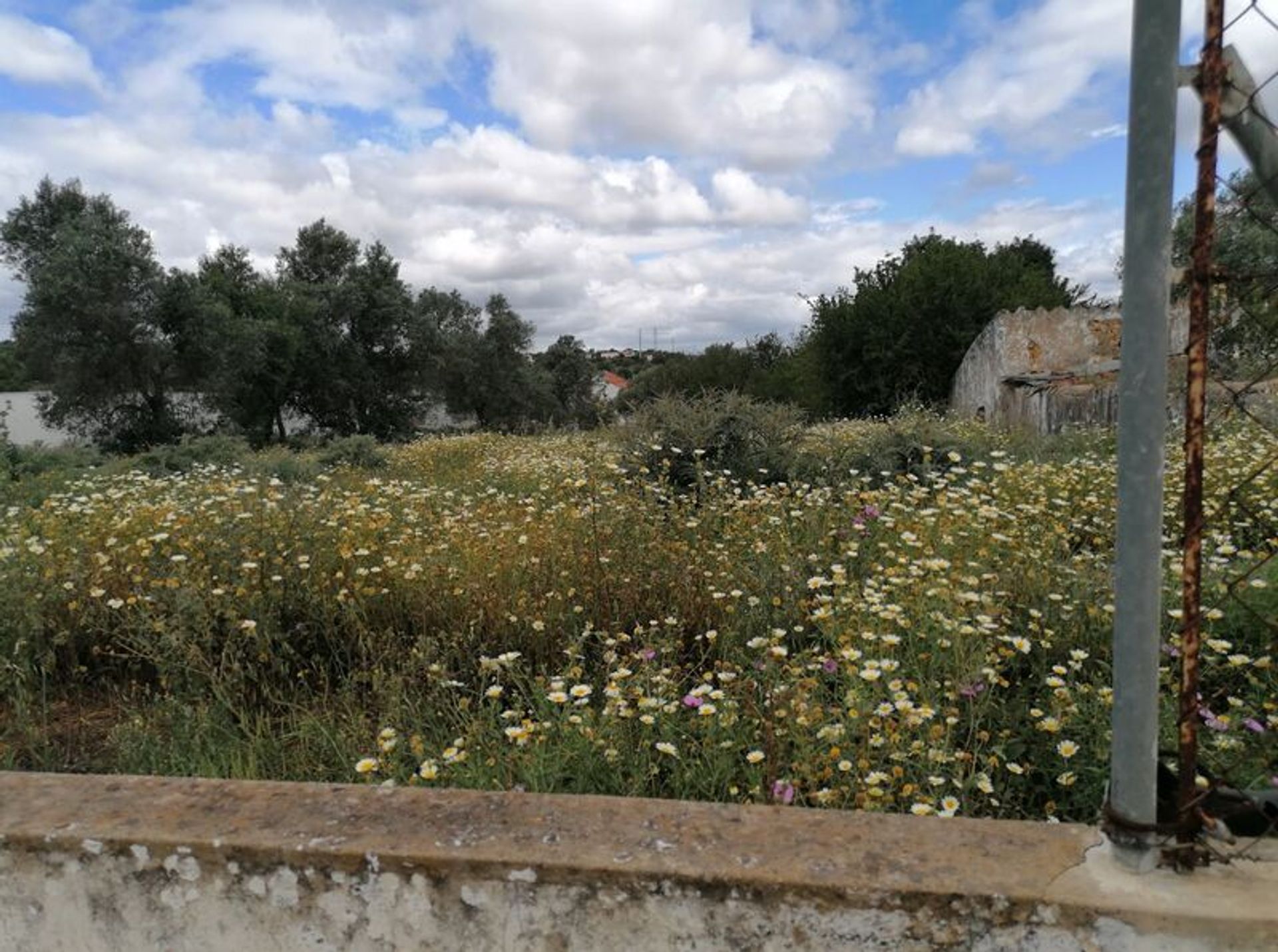 土地 在 Olhão, Faro District 11536012