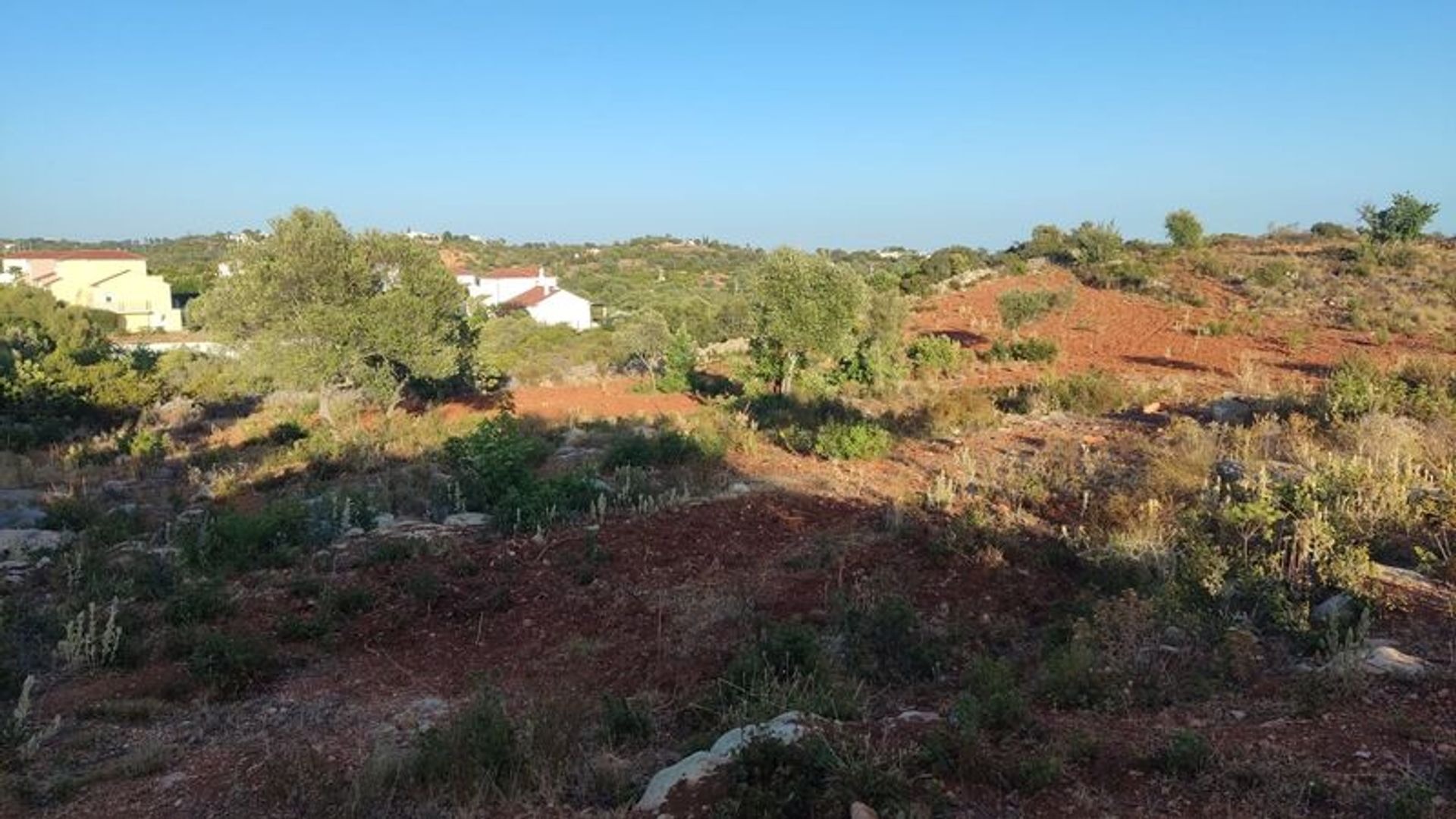 土地 在 Olhão, Faro District 11536045