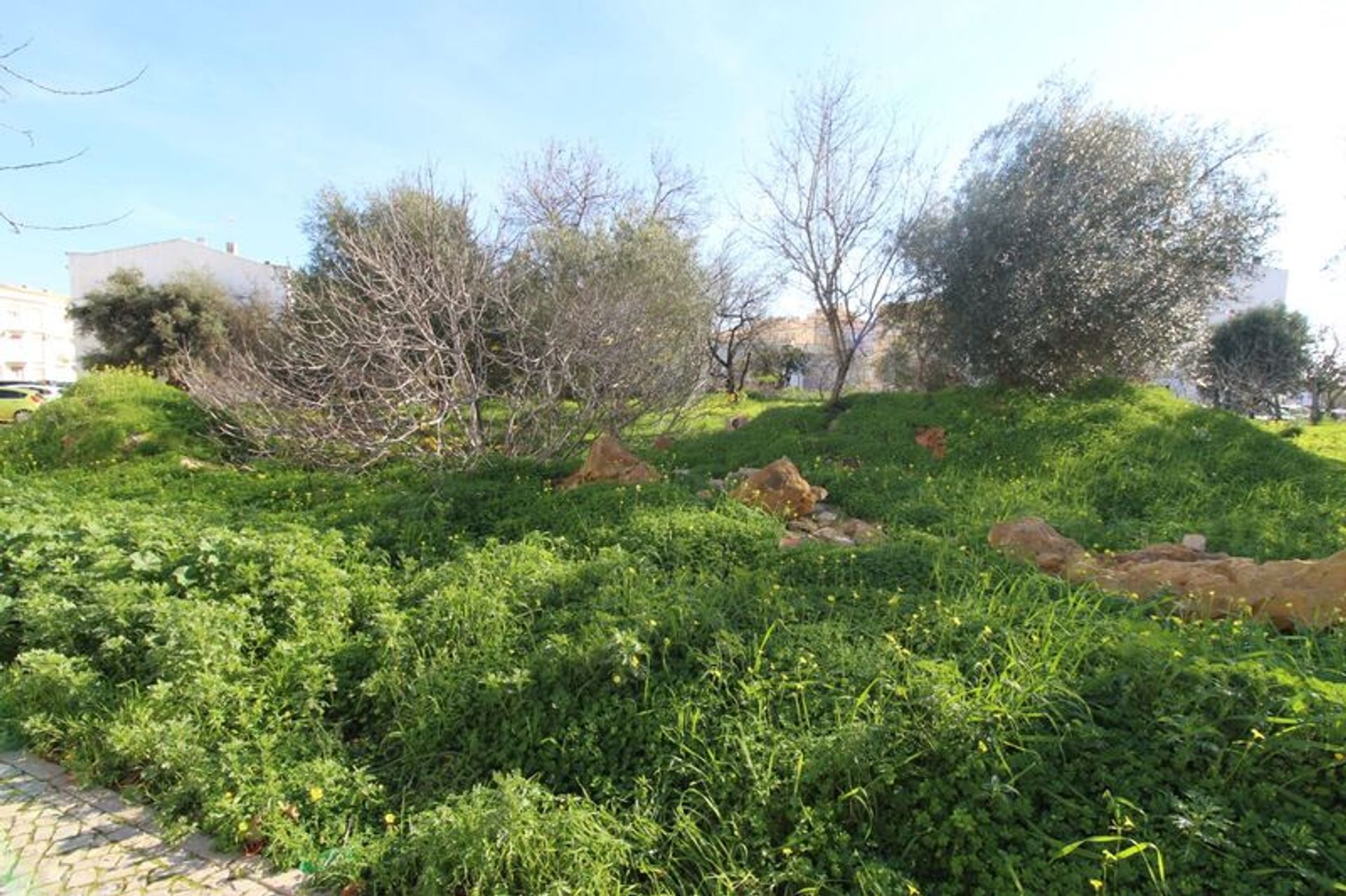 Land im Loulé, Faro District 11536092