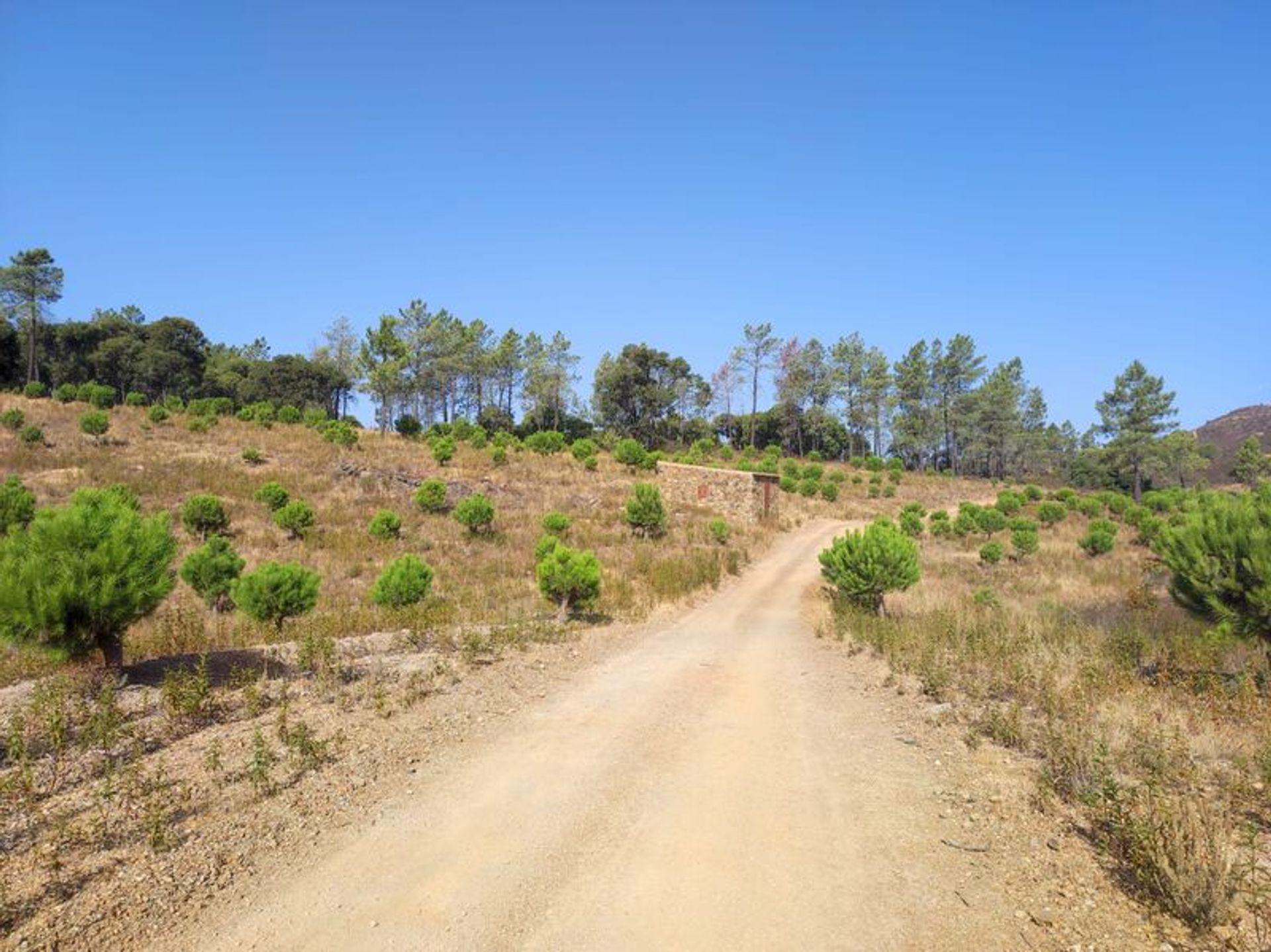 Tanah dalam Loulé, Faro District 11536115