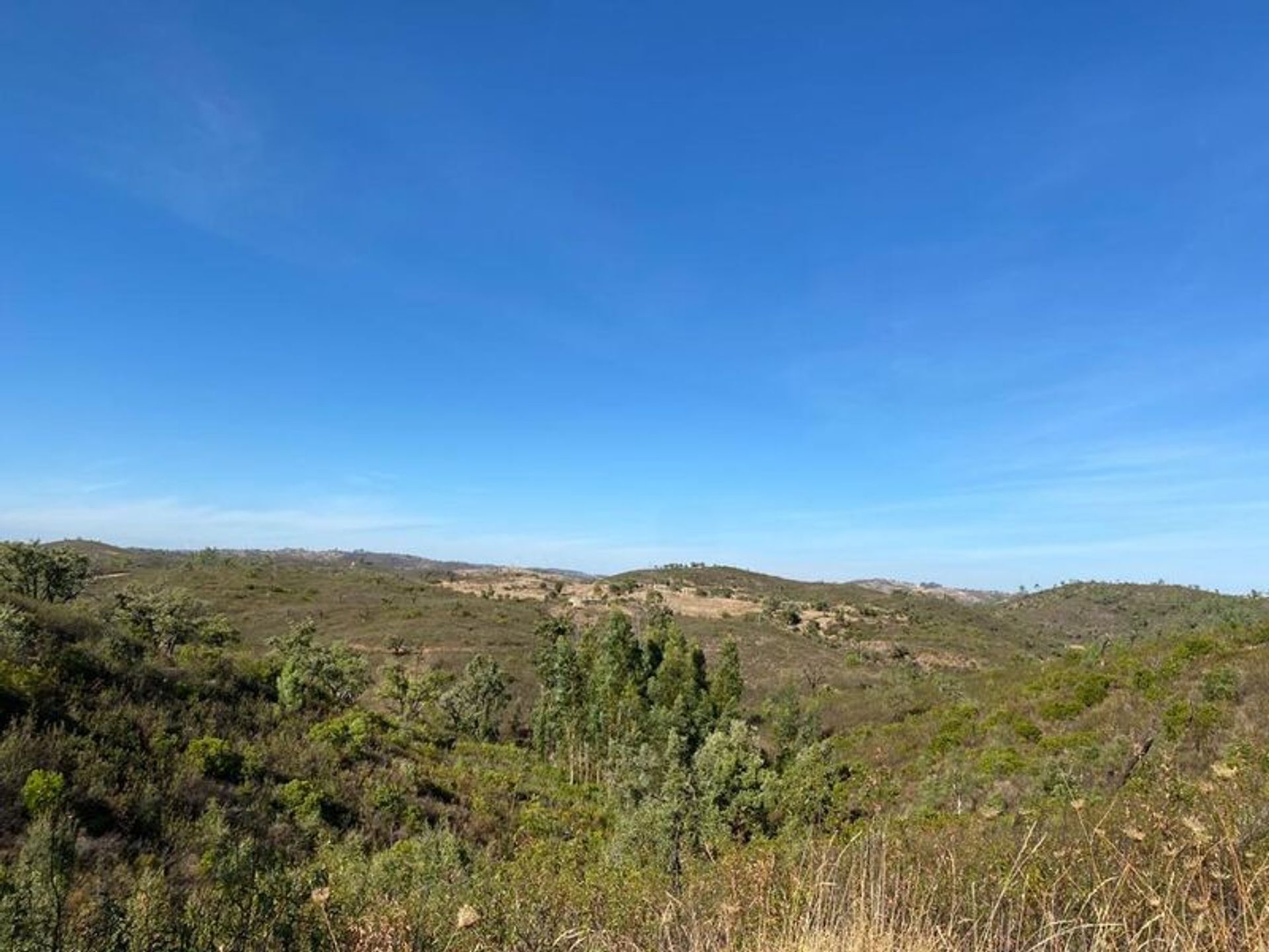 casa en São Brás de Alportel, Faro District 11536140