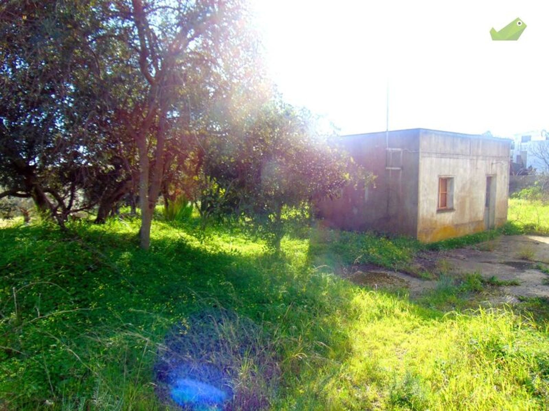 Land in São Brás de Alportel, Faro District 11536145