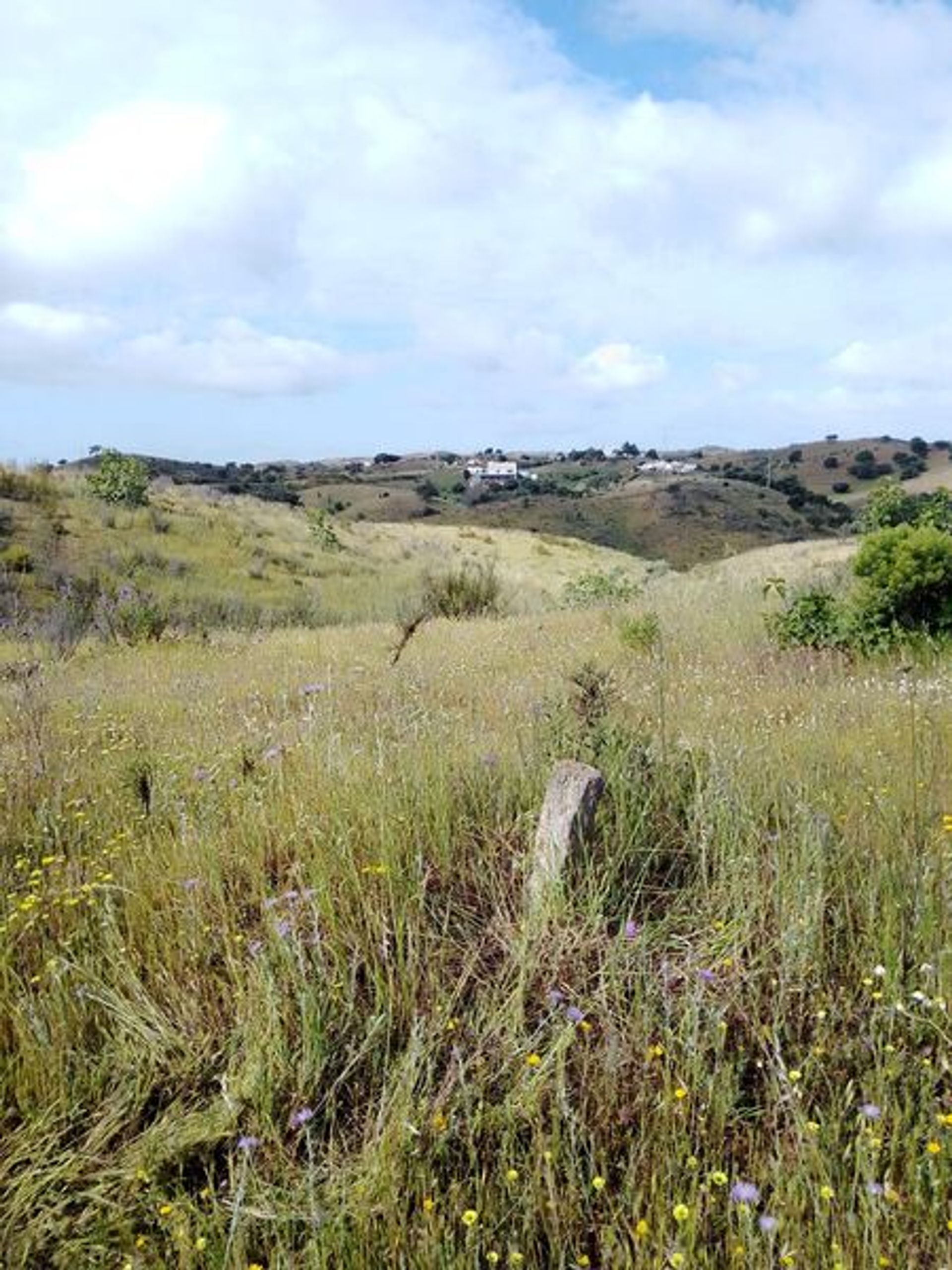 Tierra en Castro Marim, Faraón 11536161