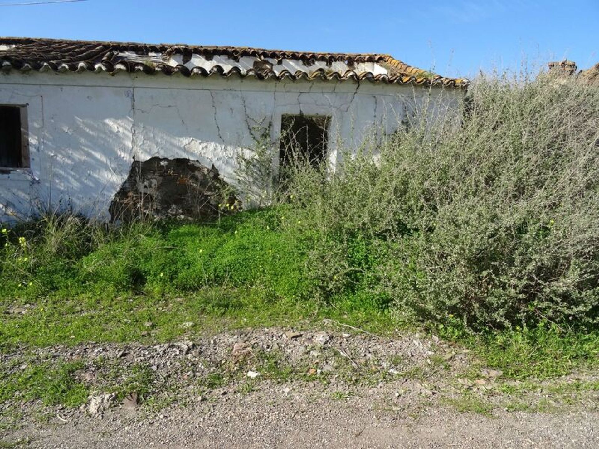 Tierra en Castro Marim, Faraón 11536167