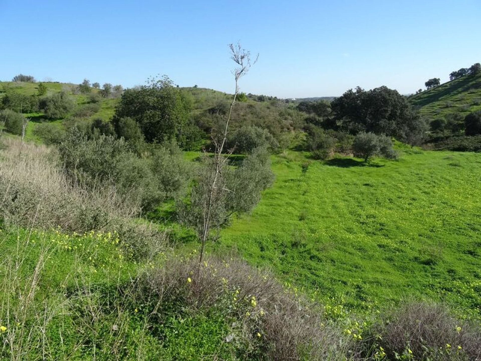 Tierra en Castro Marim, Faraón 11536167