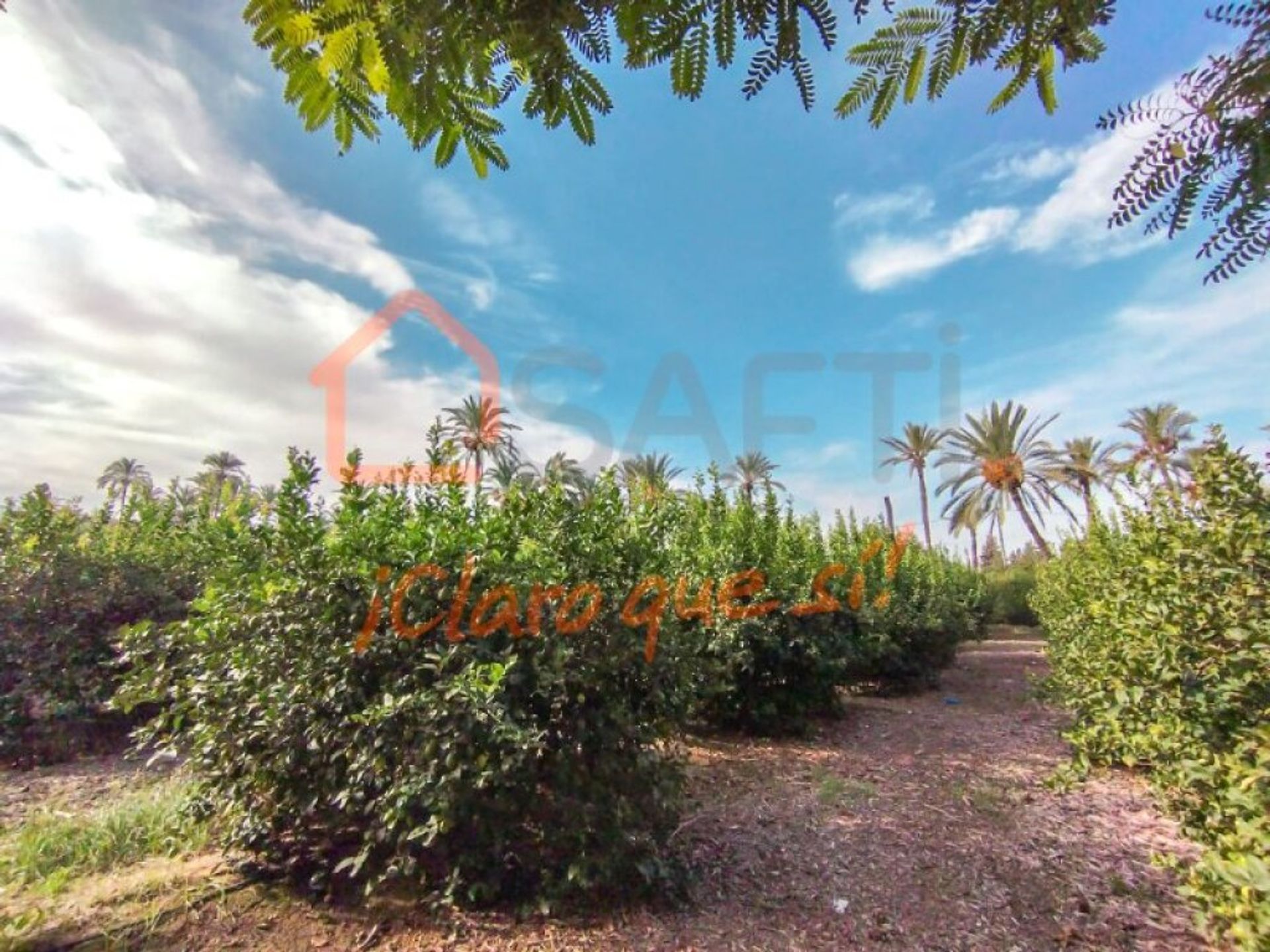 Talo sisään Murcia, Región de Murcia 11536478