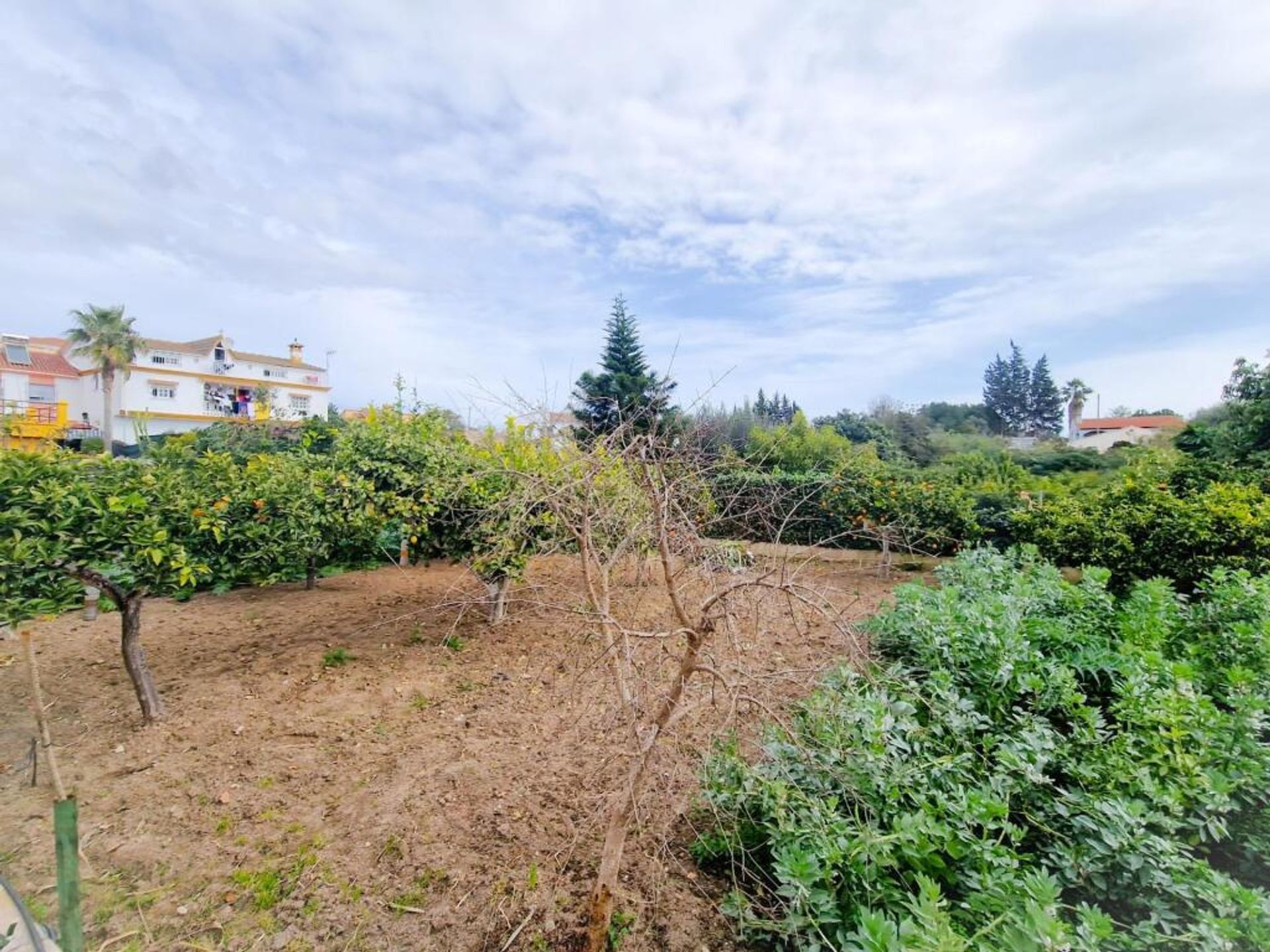 Huis in Alhaurín de la Torre, Andalucía 11536490