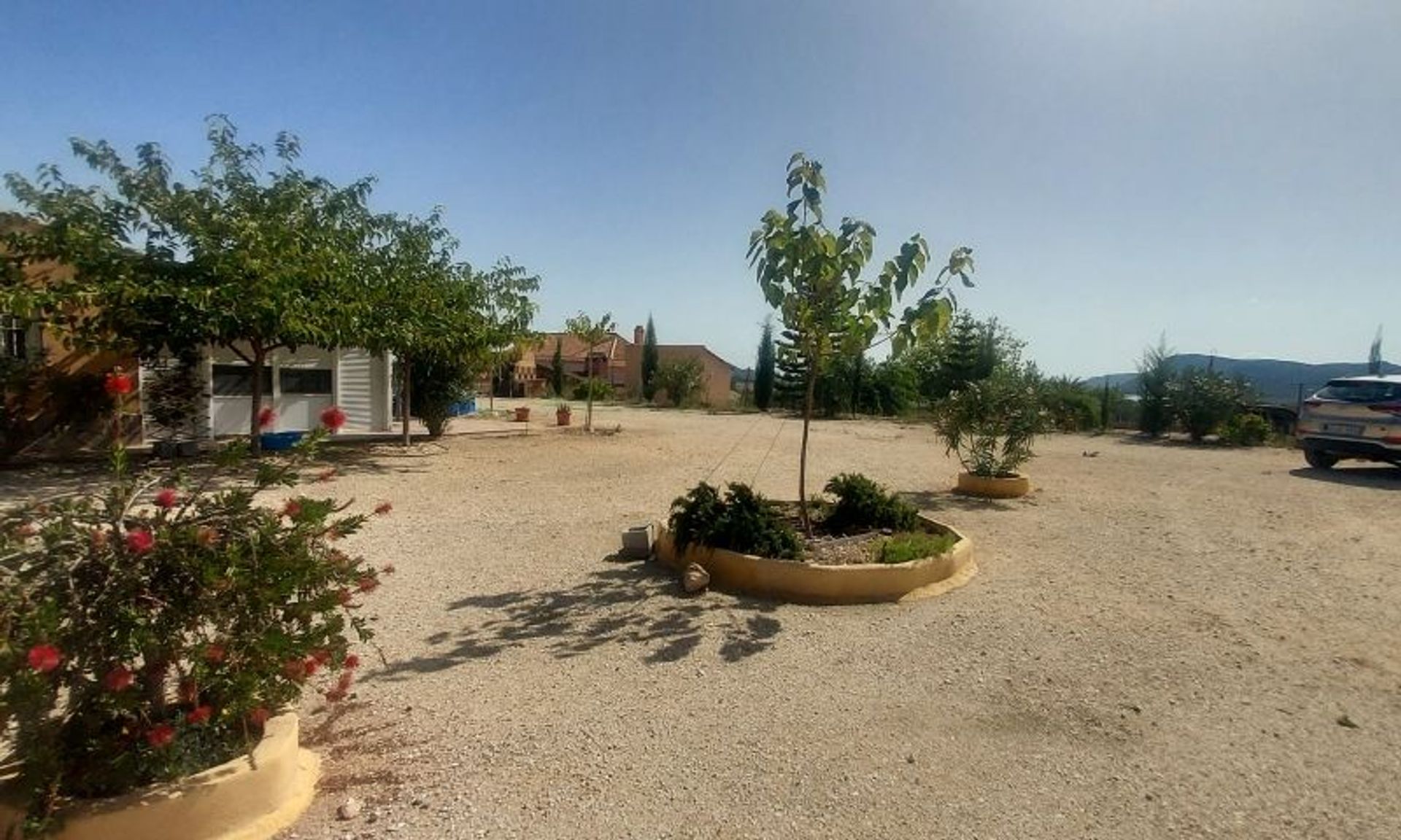 House in La Romana, Valencian Community 11537004