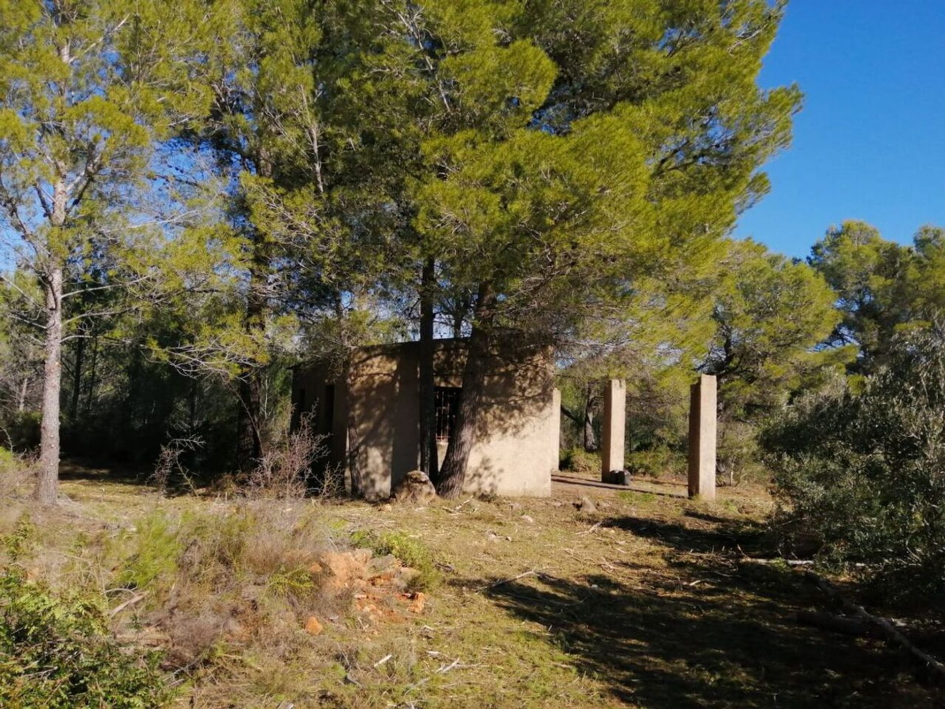 土地 在 Alcalalí, Valencian Community 11537051