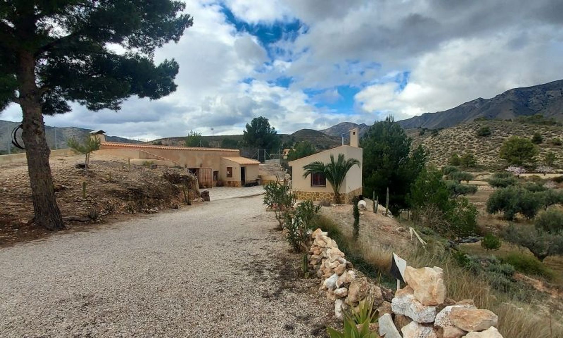 Huis in El Fondó de les Neus, Valencian Community 11537136