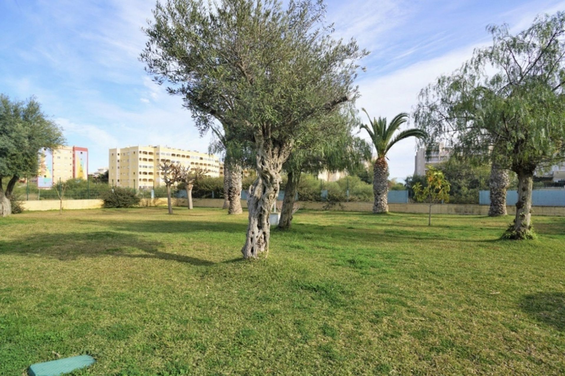 Condominium dans Torre La Mata, Valencian Community 11537212