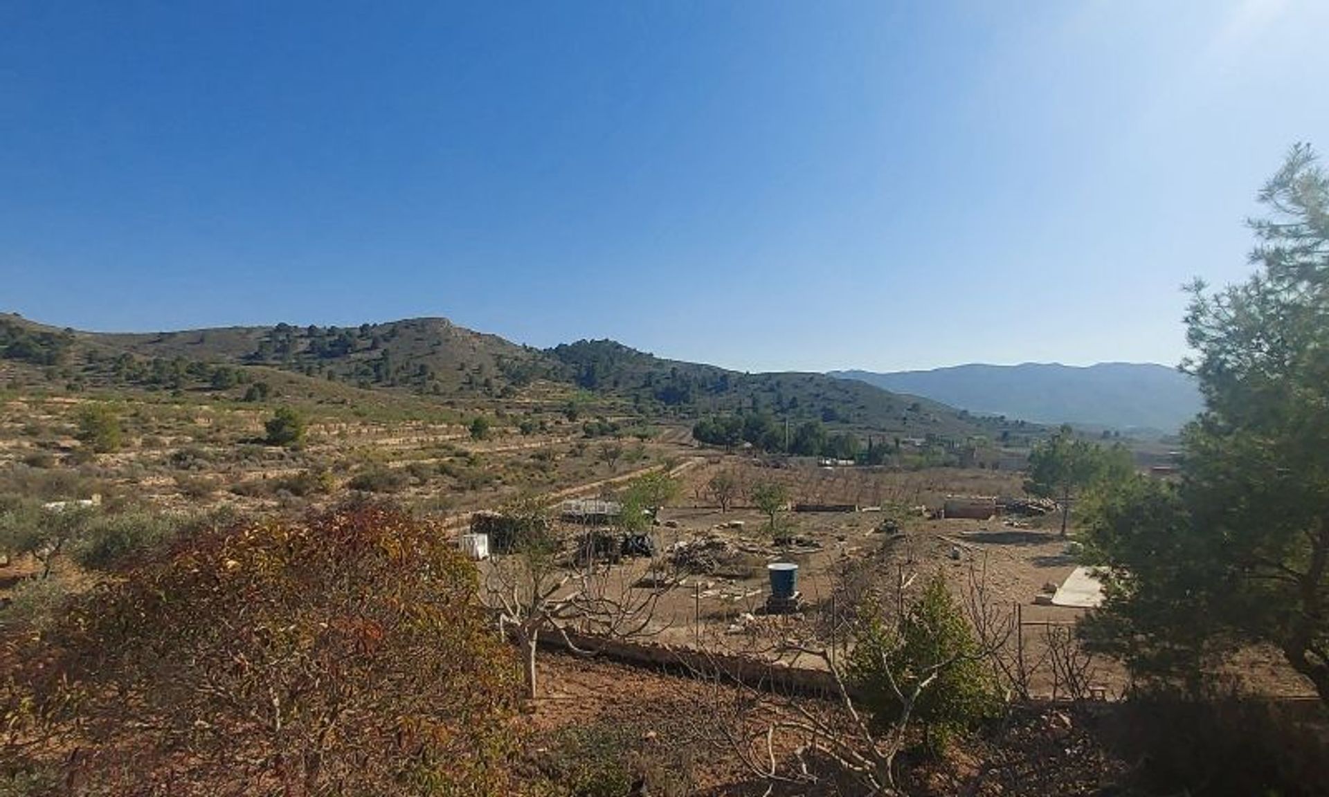 Hus i El Fondó de les Neus, Valencian Community 11537520