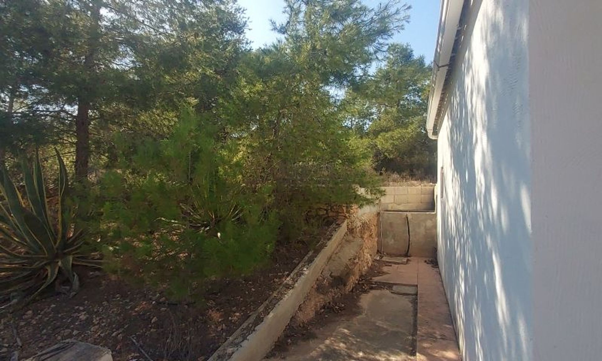 House in El Fondó de les Neus, Valencian Community 11537520