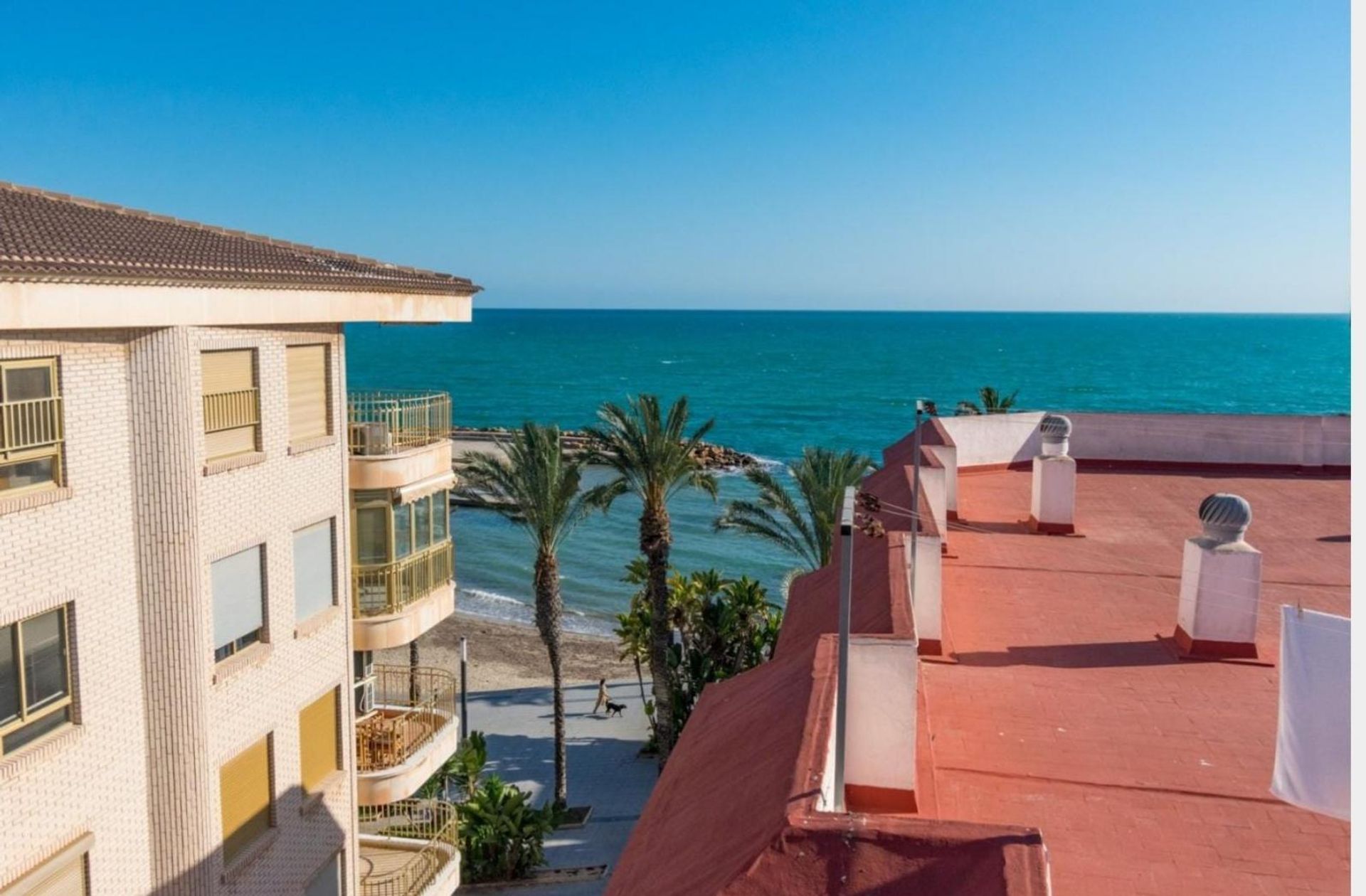 Condominium dans Torrevieja, Valence 11537600