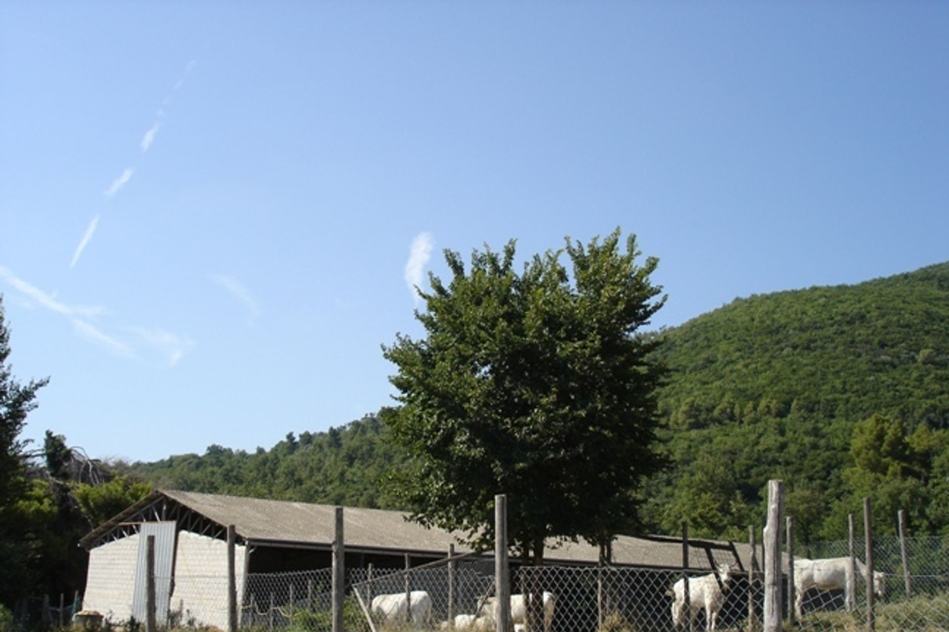 Casa nel Gualdo Cattaneo, Umbria 11537654