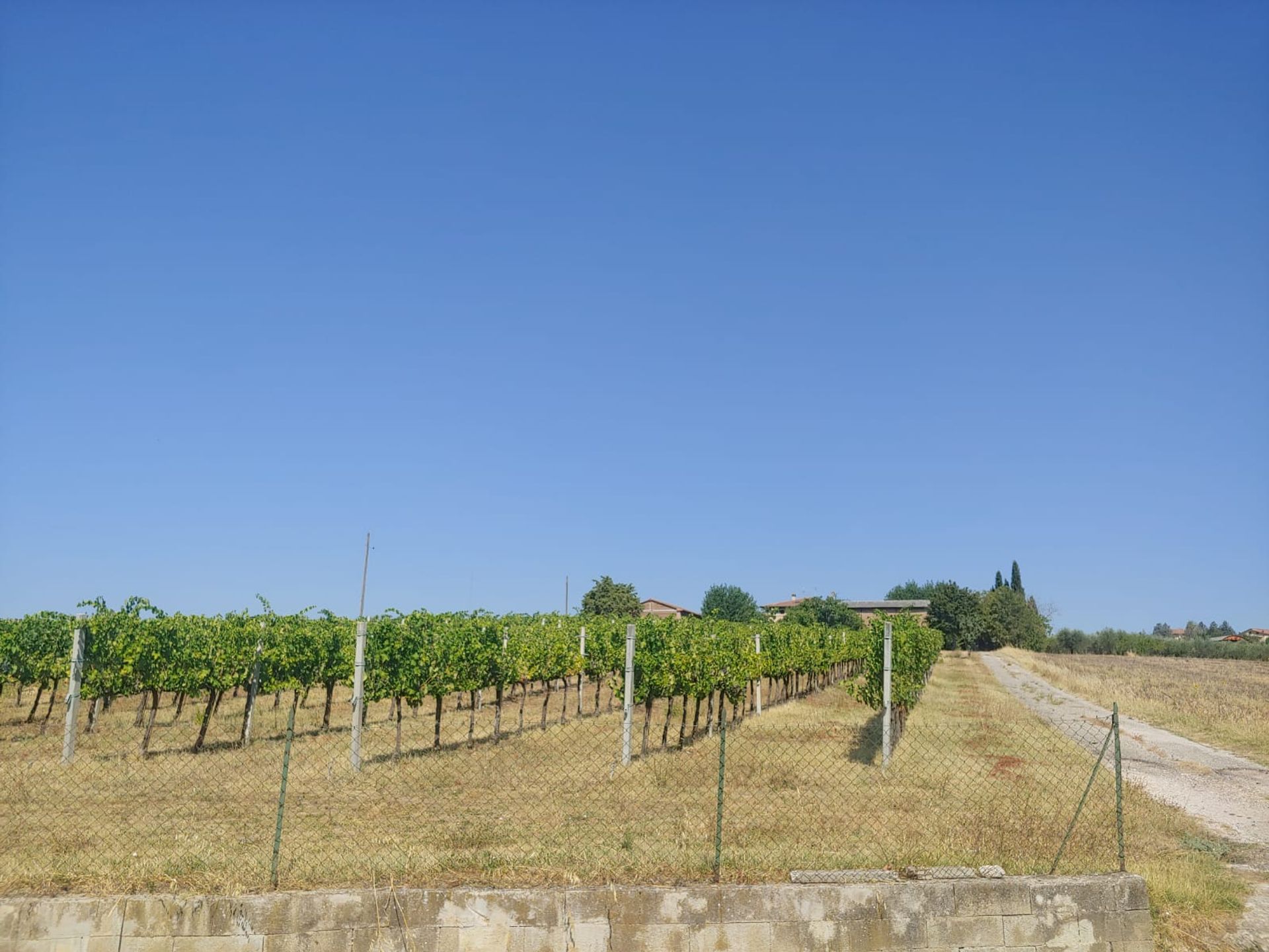 Casa nel Montefalco, Umbria 11537658