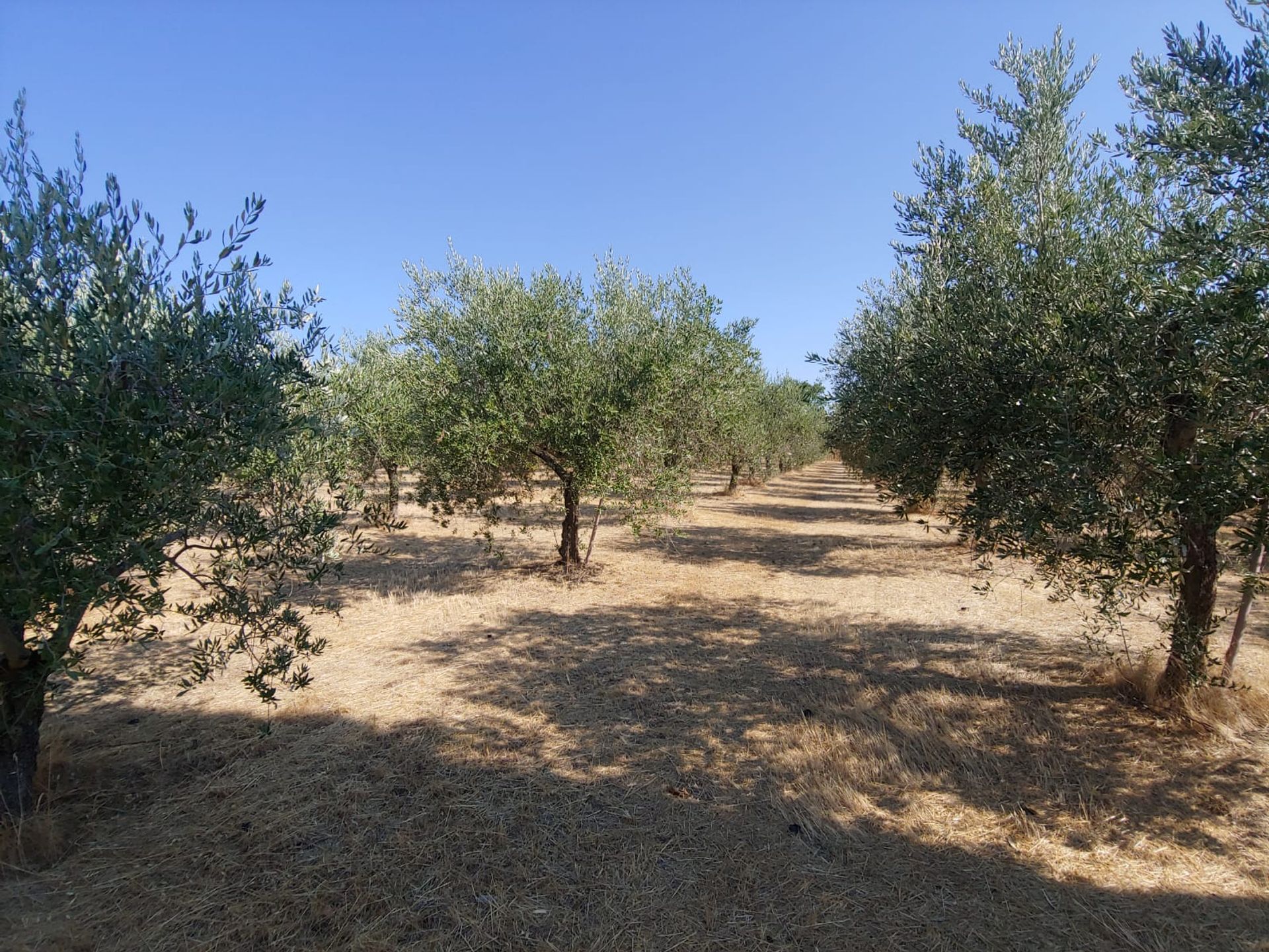 Casa nel Montefalco, Umbria 11537658