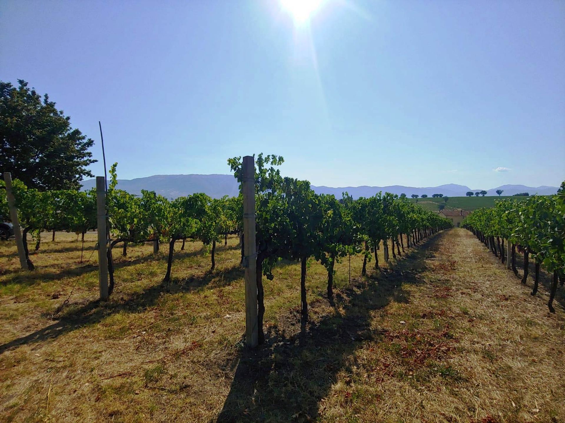 Casa nel Montefalco, Umbria 11537658