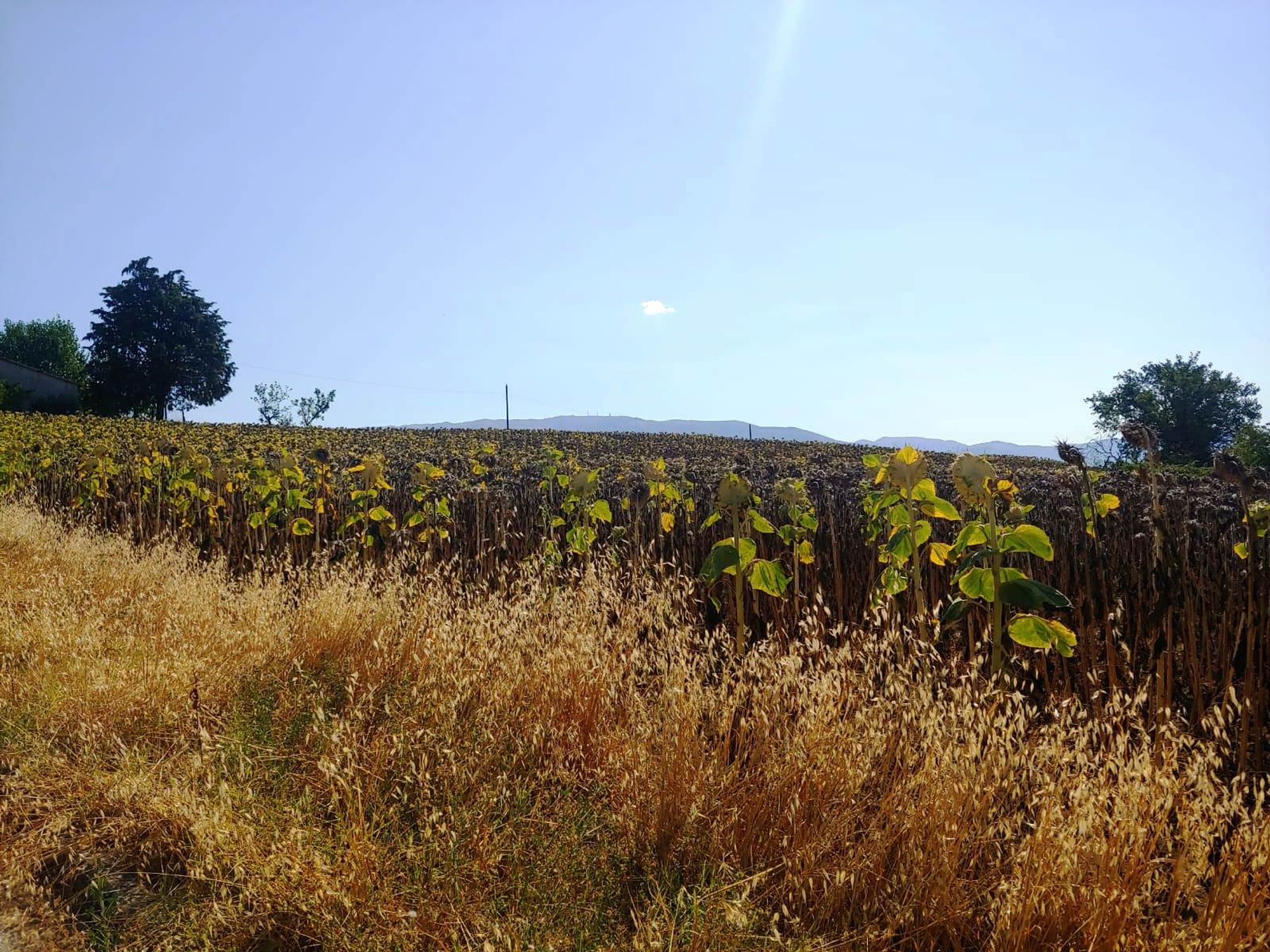 Casa nel Montefalco, Umbria 11537660