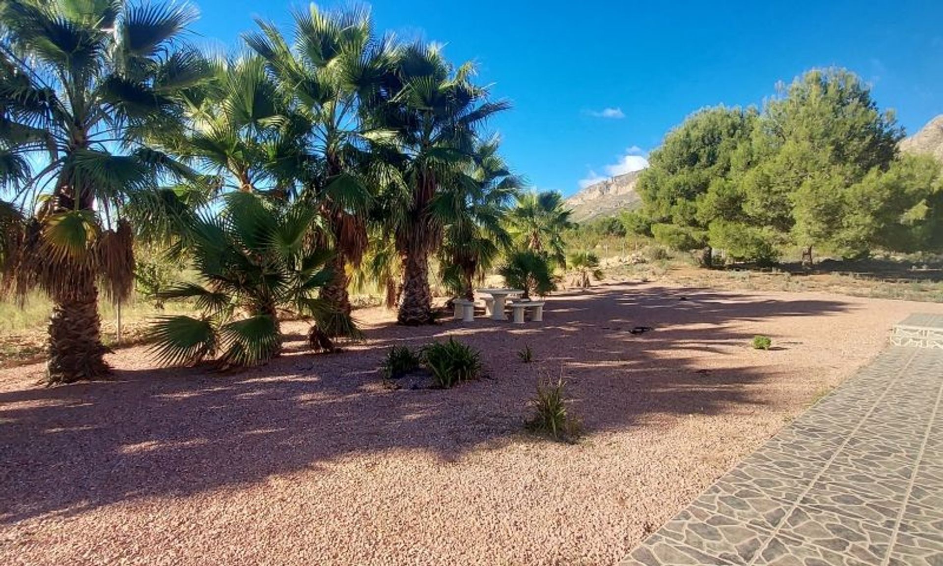 Casa nel El Fondó de les Neus, Valencian Community 11537716