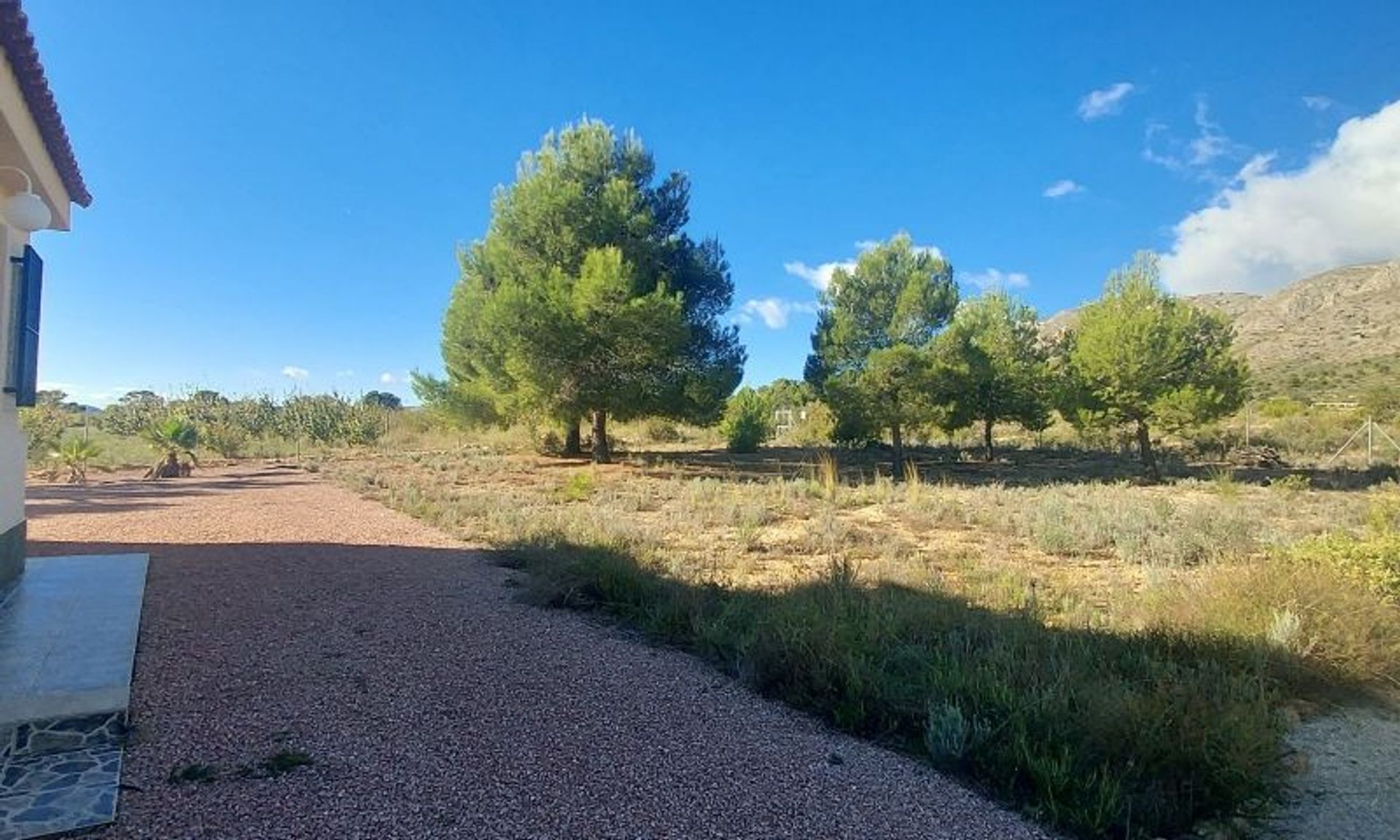 Casa nel El Fondó de les Neus, Valencian Community 11537716