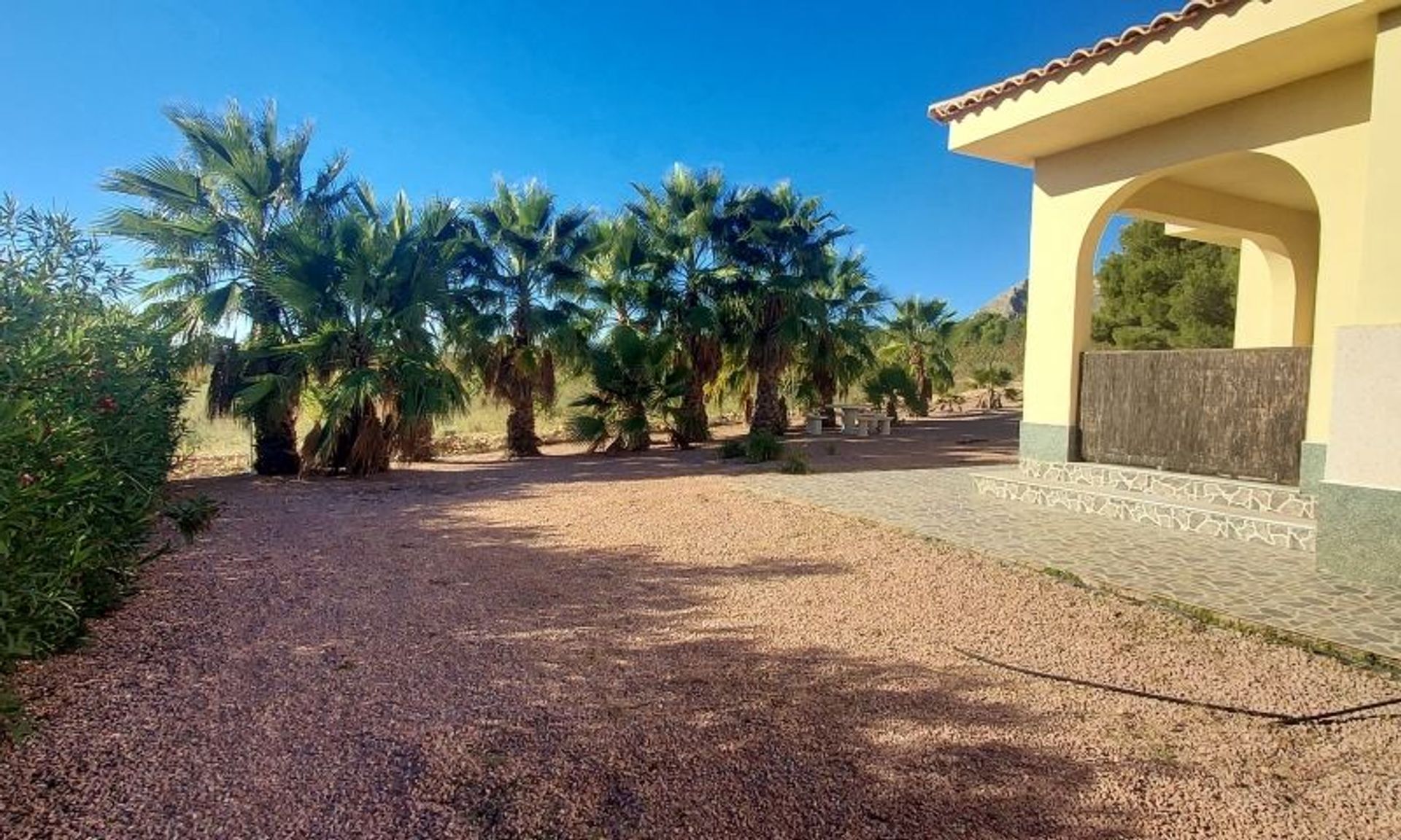 Casa nel El Fondó de les Neus, Valencian Community 11537716