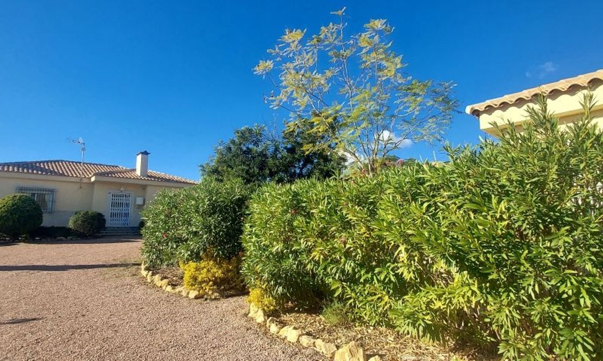 Casa nel El Fondó de les Neus, Valencian Community 11537716