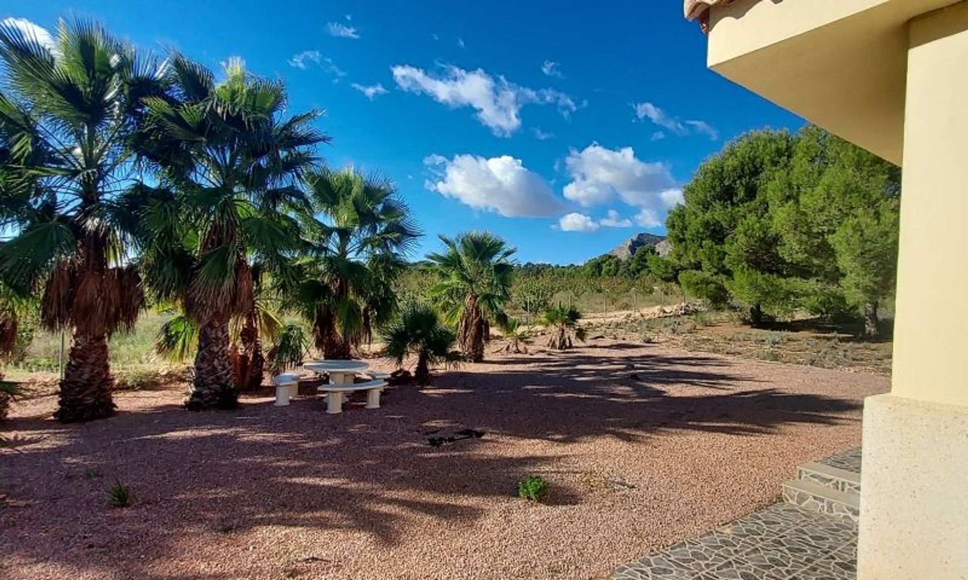 Casa nel El Fondó de les Neus, Valencian Community 11537716