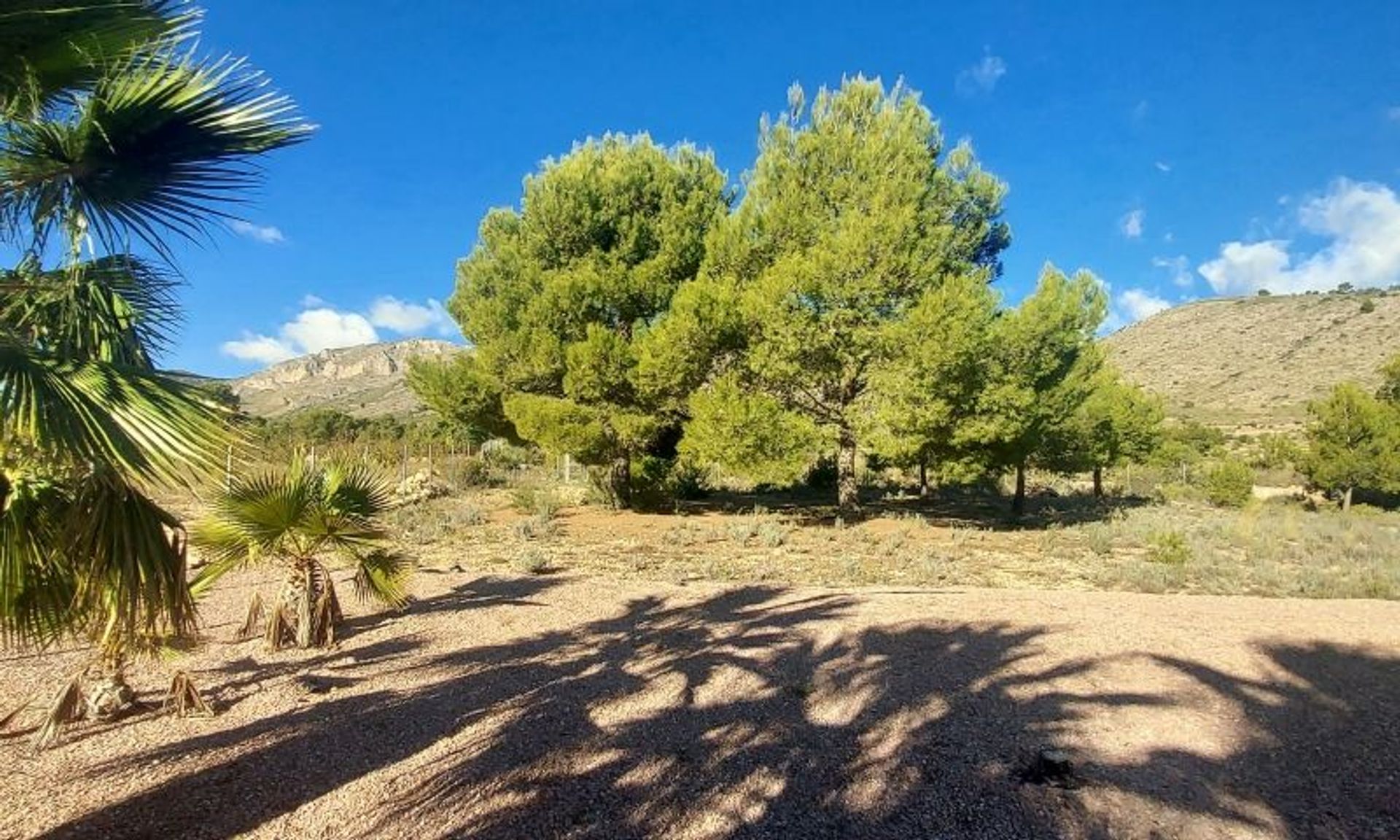 Casa nel El Fondó de les Neus, Valencian Community 11537716