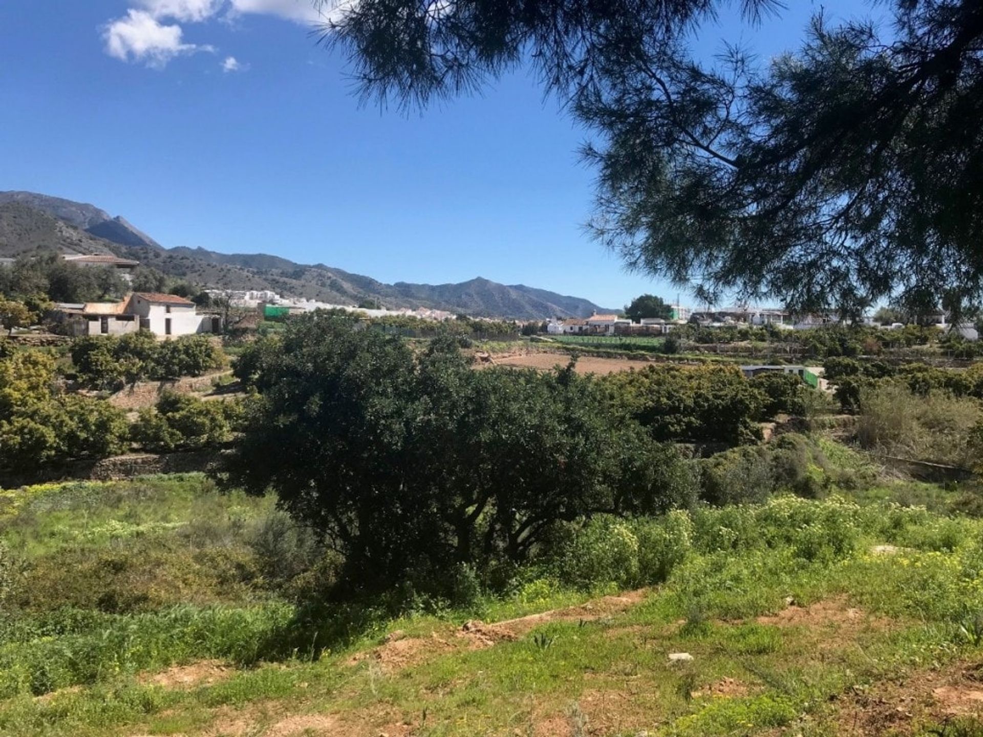 Tanah di Frigiliana, Andalucía 11537963