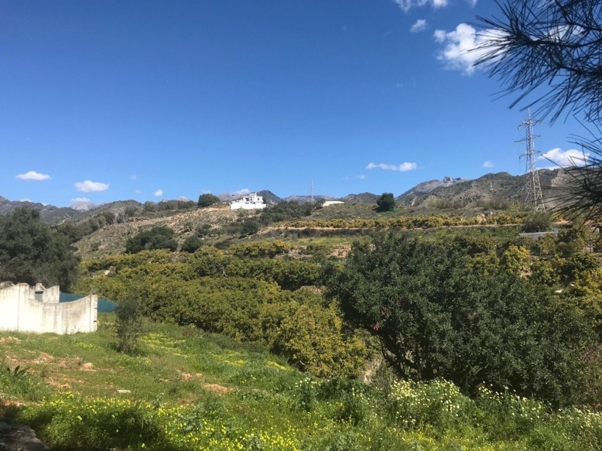 Tanah di Frigiliana, Andalucía 11537963